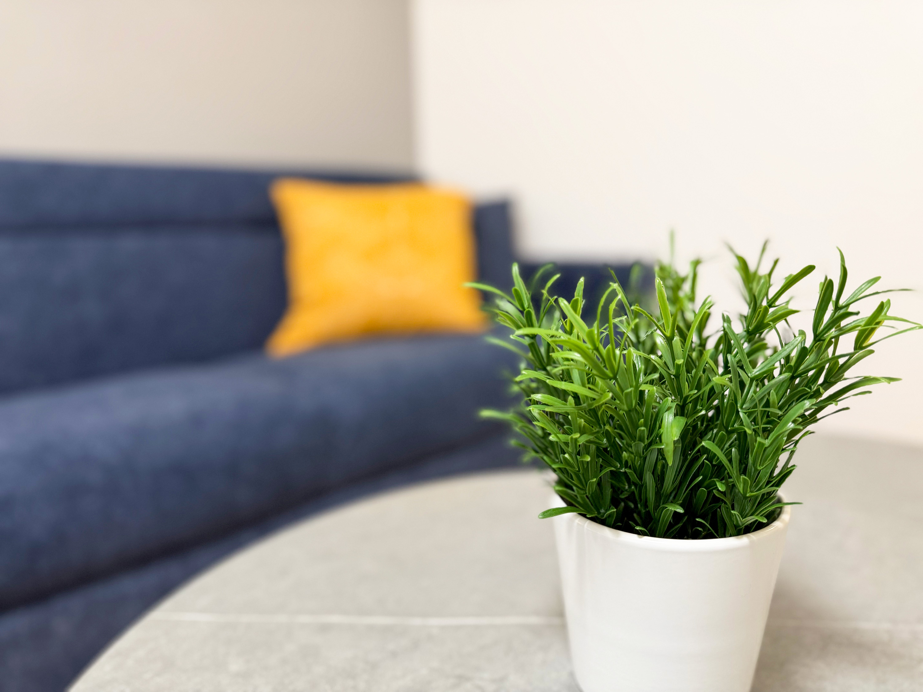 202・302・402・502・602・702号室（同タイプ）  