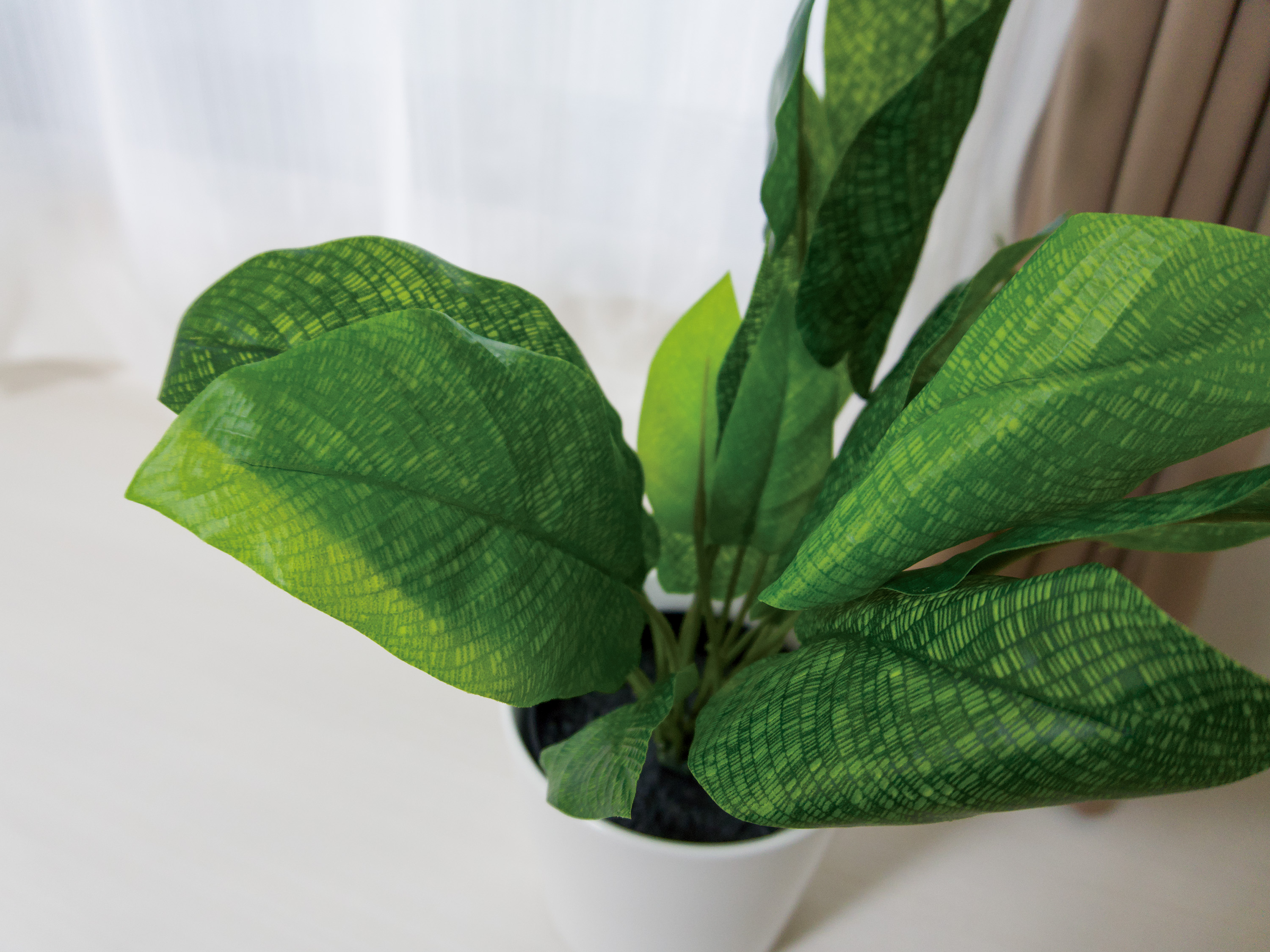 201～1201号室（同タイプ）