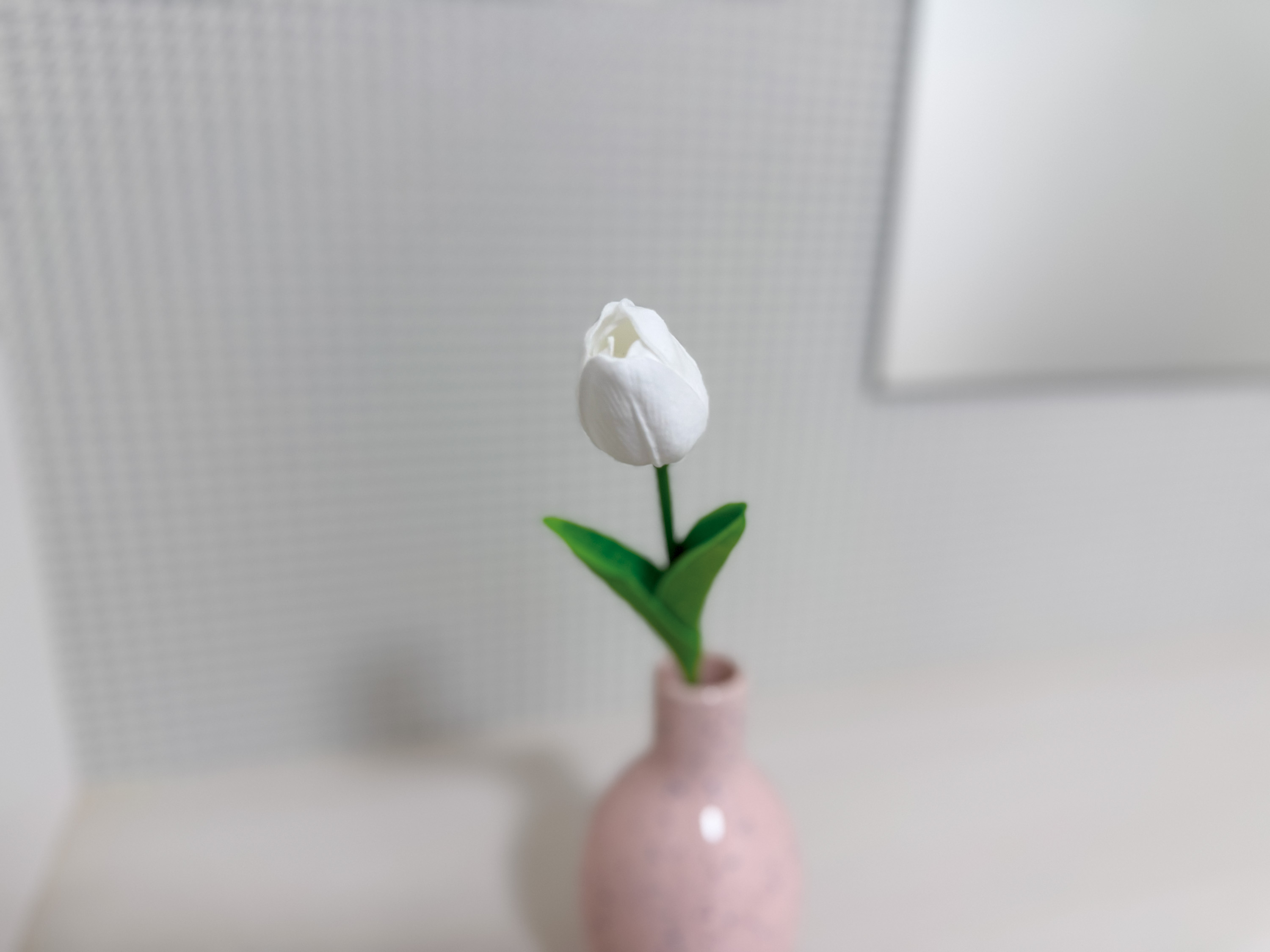 203・303・403・503・603・703号室（同タイプ）