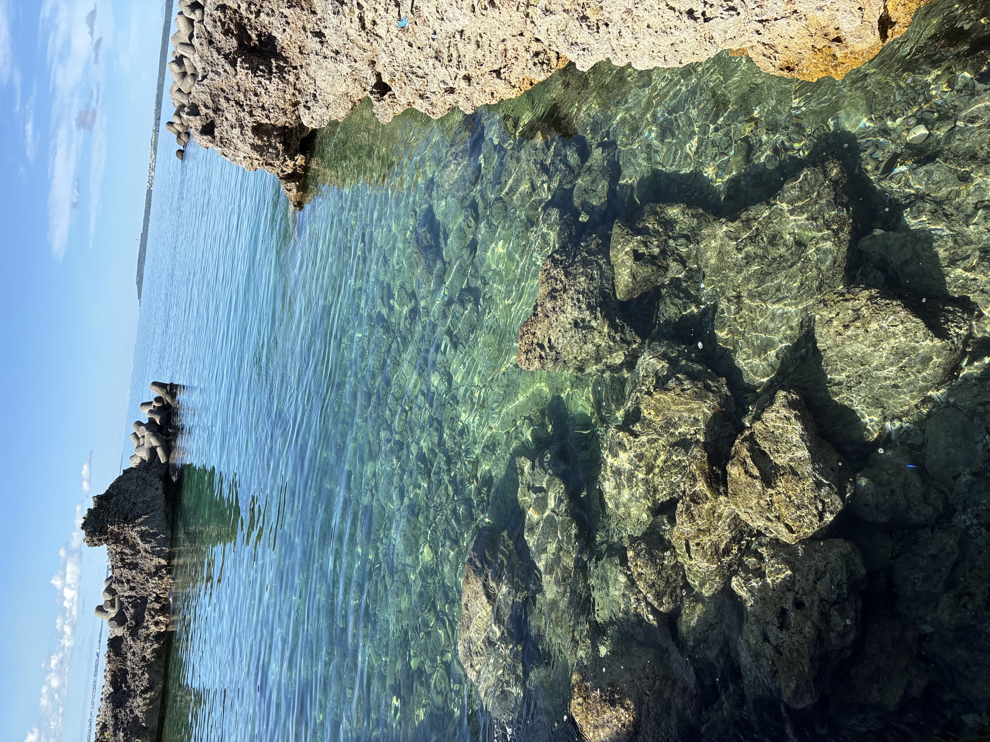 目の前の海