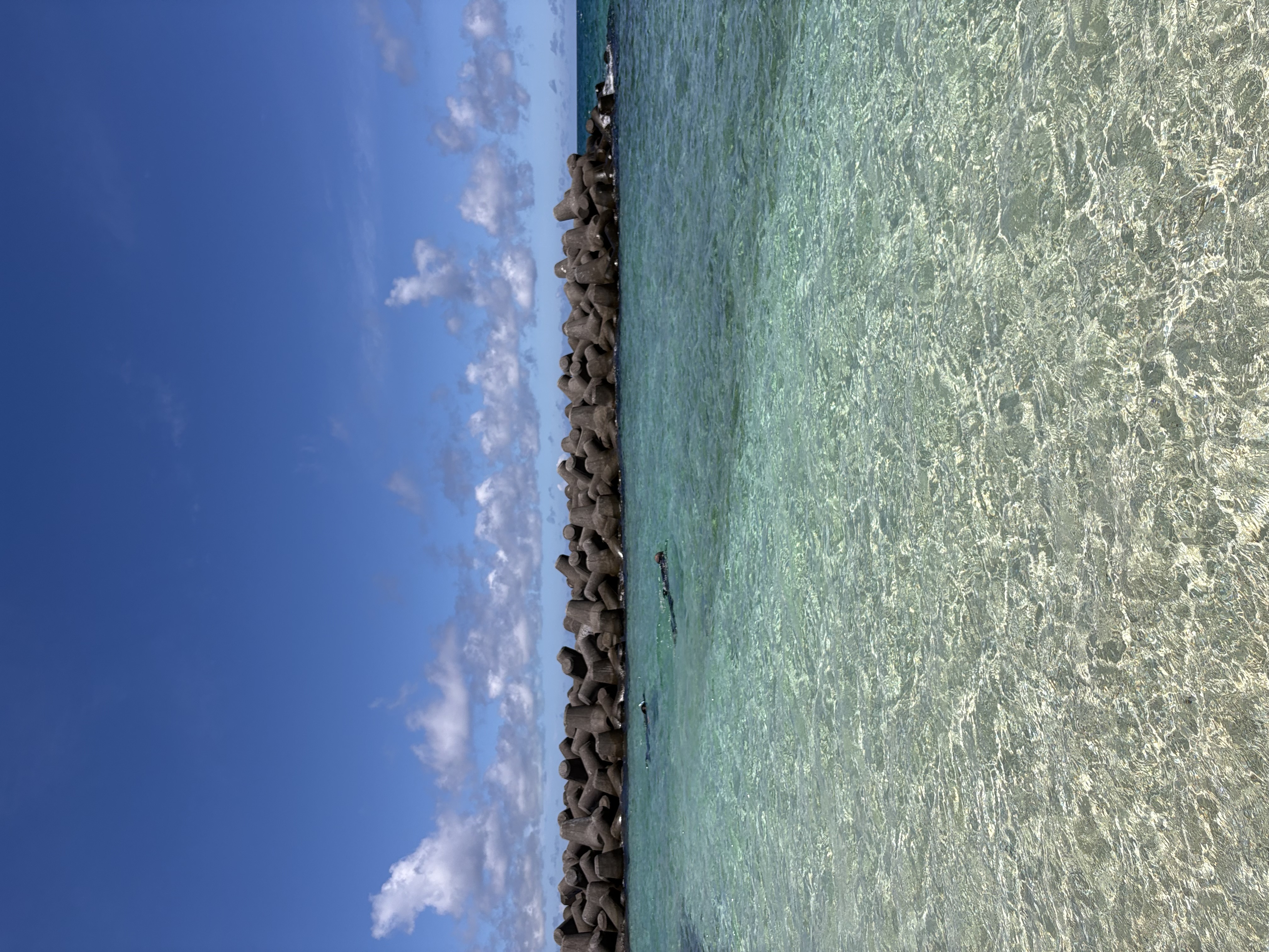 目の前の海