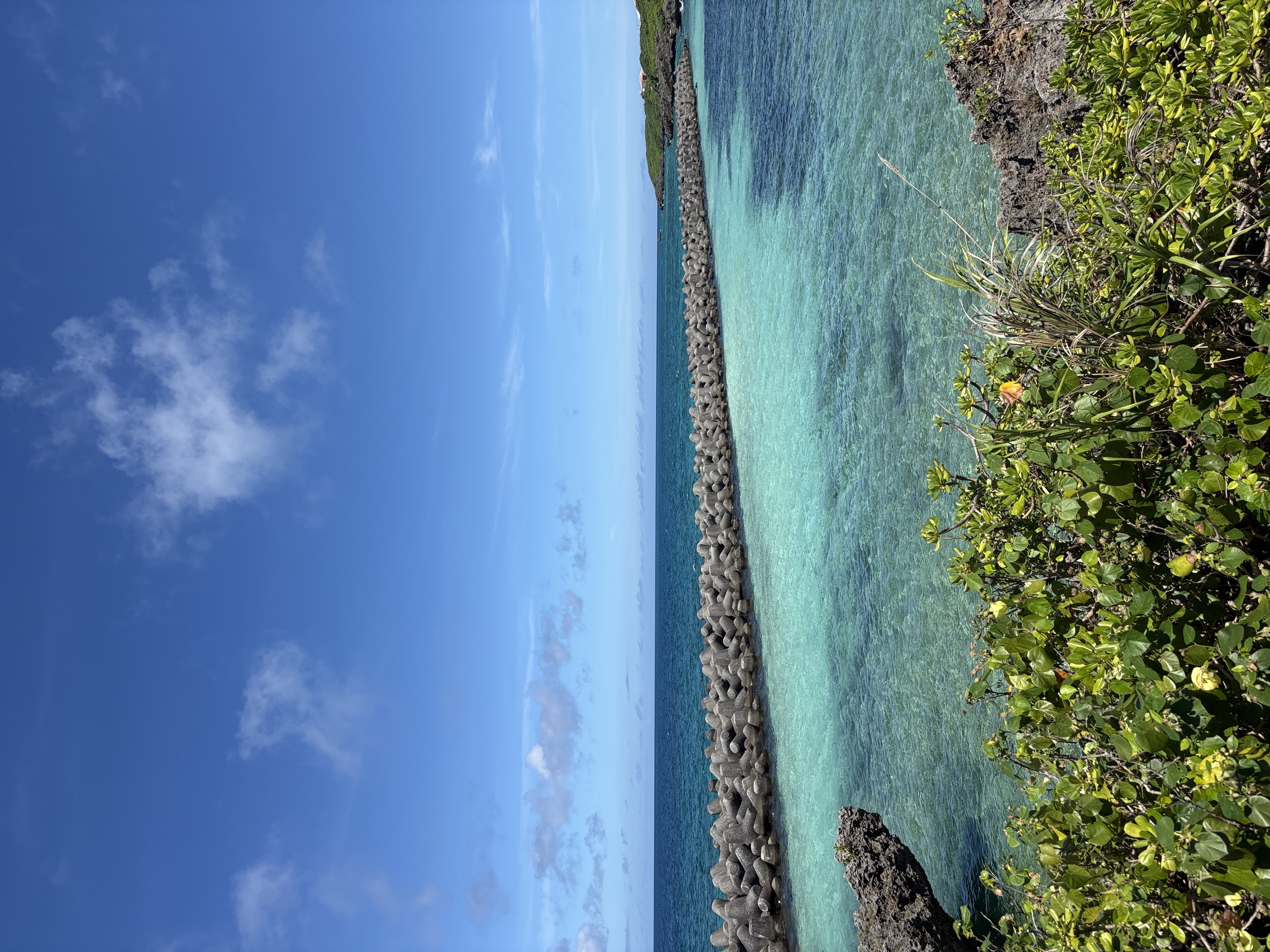 目の前の海