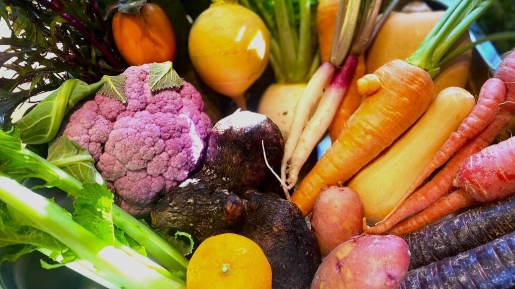 【朝食付き】鹿のや　朝食付きのシンプルスタンダードプラン