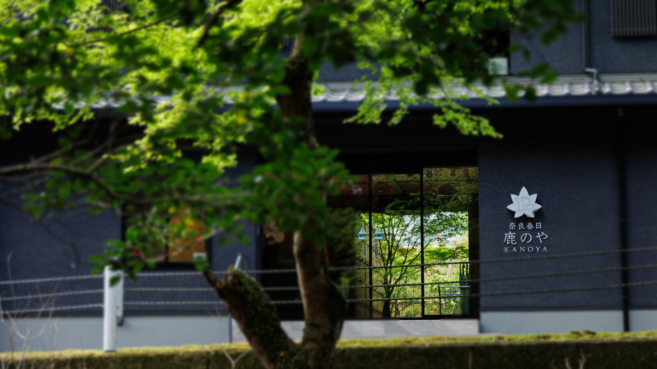 【当日・直近予約 限定】【素泊り】奈良公園と春日大社の森を満喫♪♪/お部屋は広々37㎡〜45㎡
