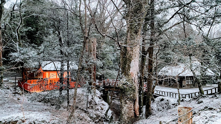 ホテルから春日大社参道を望む