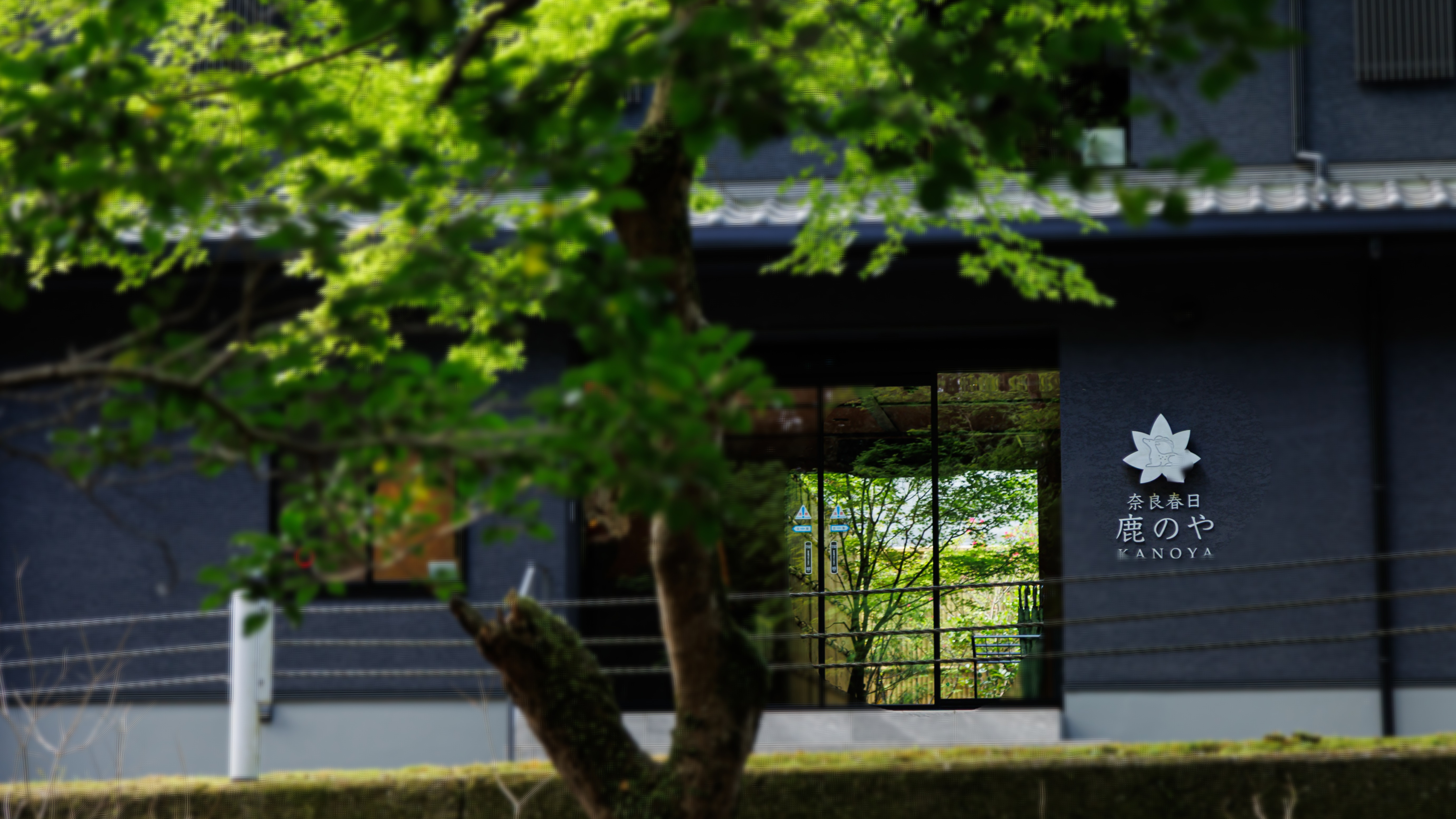 ホテル外観　玄関