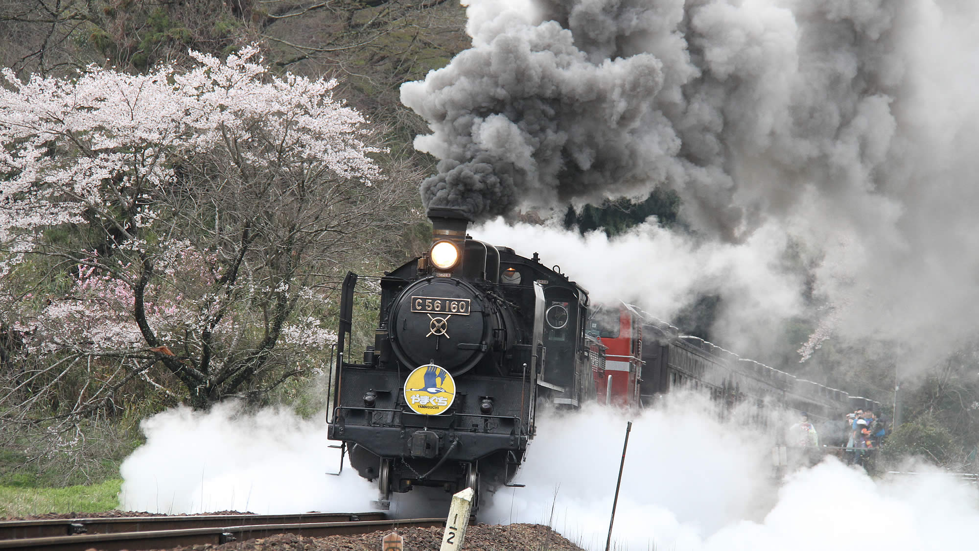 SLやまぐち号