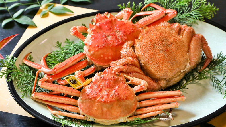 【活魚+冷凍姿ガニ】食いしん坊さん集合！おっちゃんの旨いとこ盛りコース♪（1泊２食付）