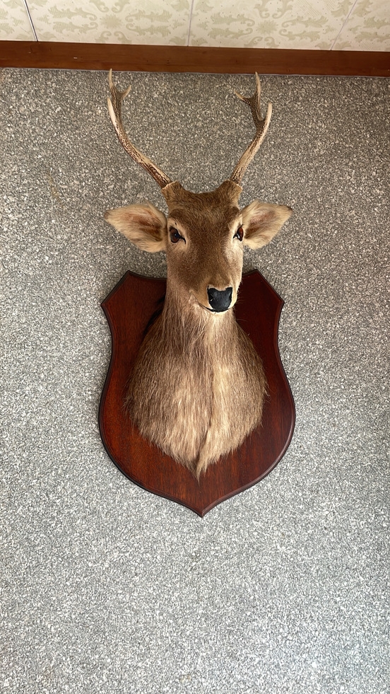 【1泊2食】和室４畳１名様ご宿泊可