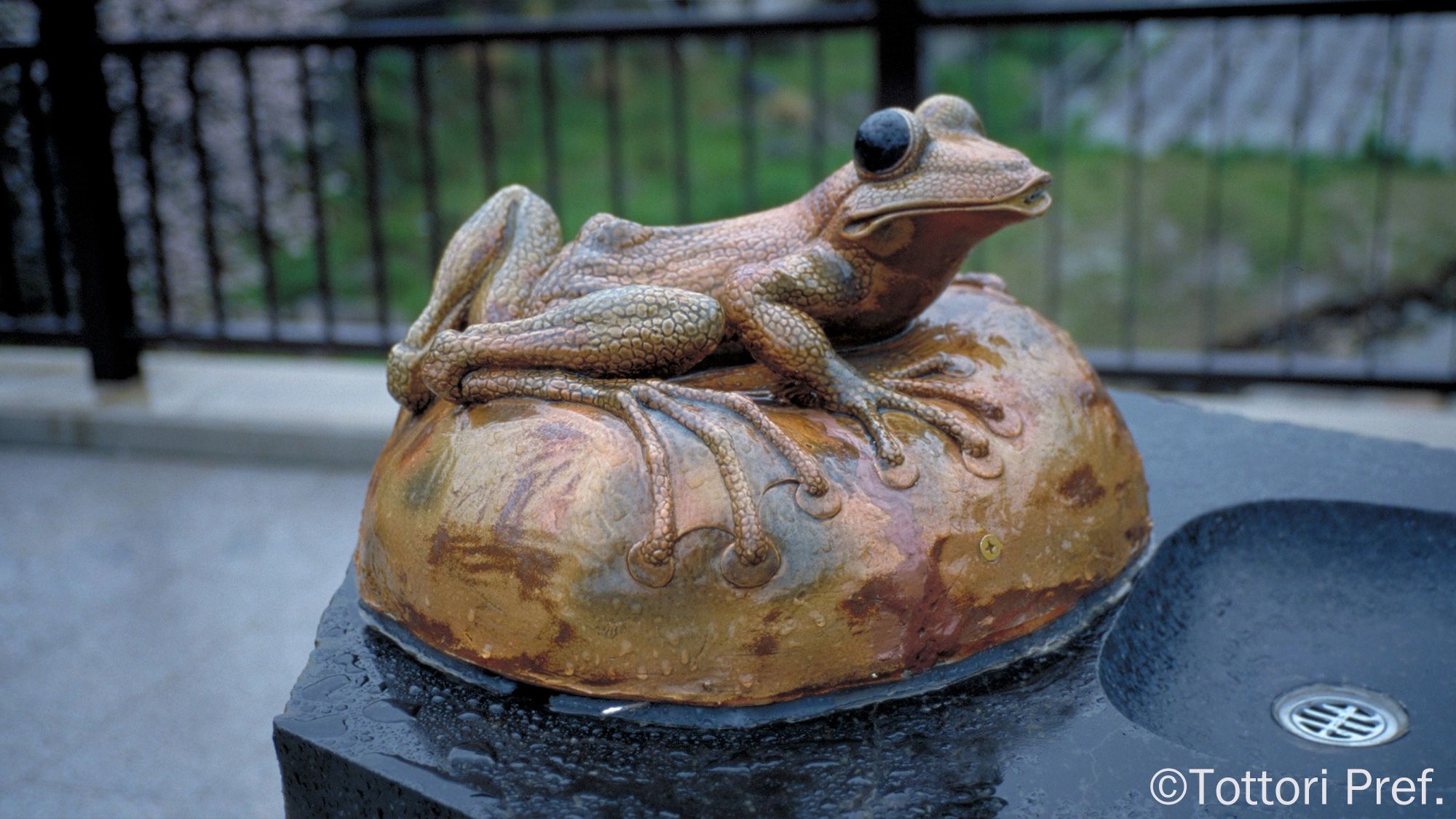 〇恋谷橋かじか蛙　＜当館より車で約7分＞