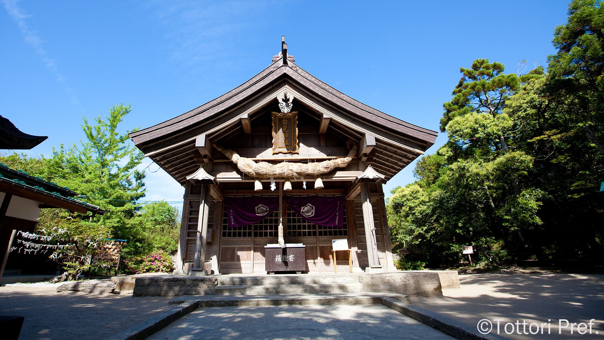 〇白兎神社　＜当館より車で約45分＞