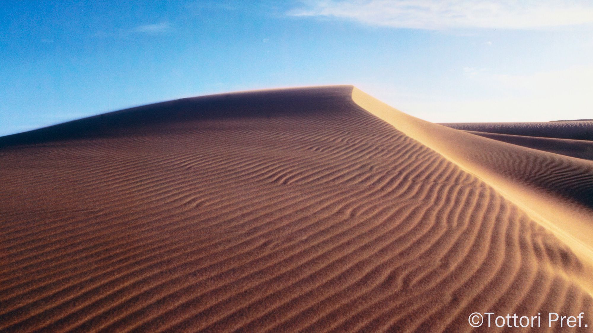 〇鳥取砂丘　＜当館より車で約60分＞