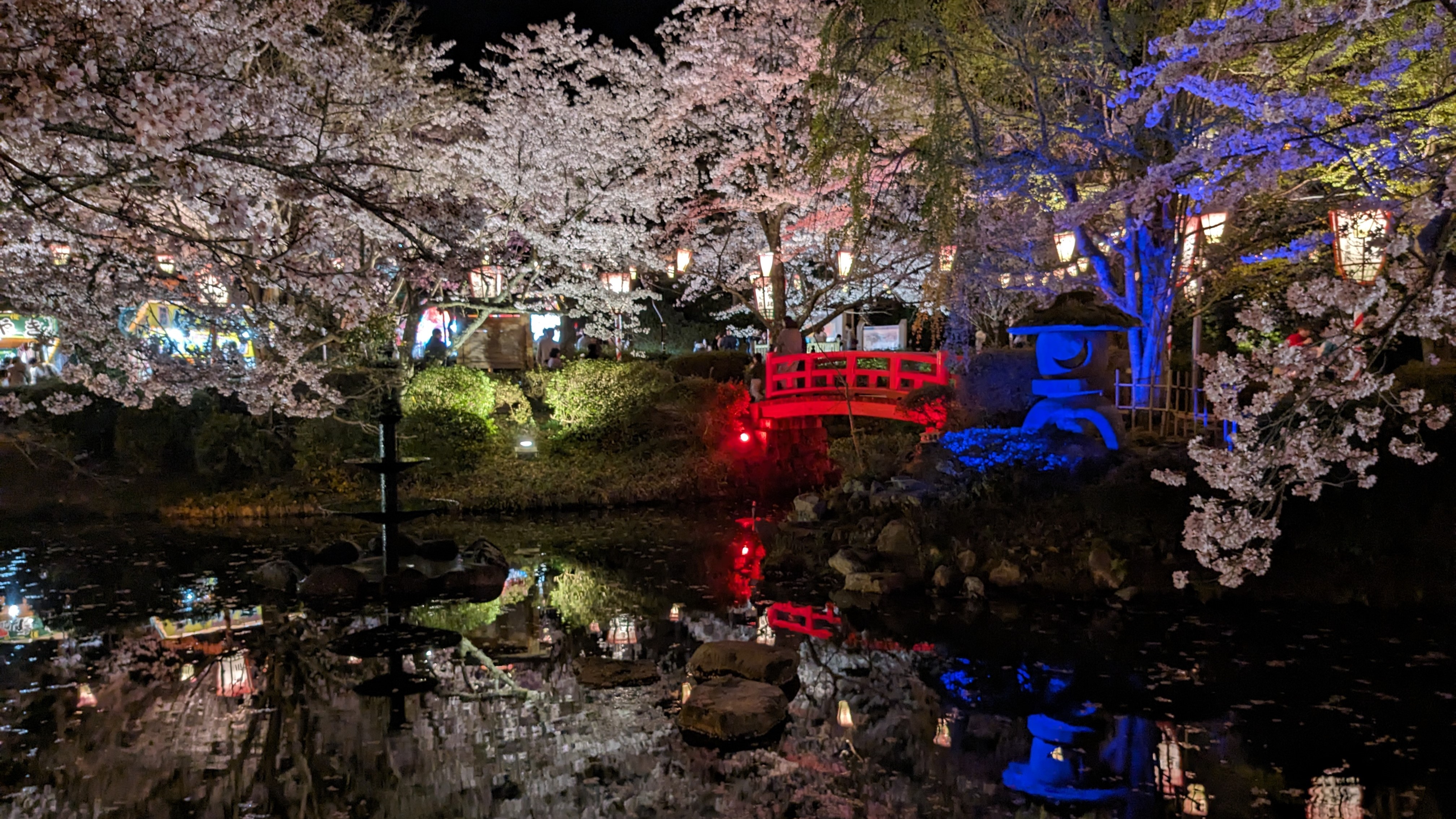 打吹公園の夜桜