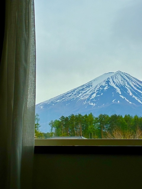 【素泊まりプラン】ペットと一緒に河口湖を満喫！富士山を望む一棟貸しのくつろぎ空間。予約時確認事項あり