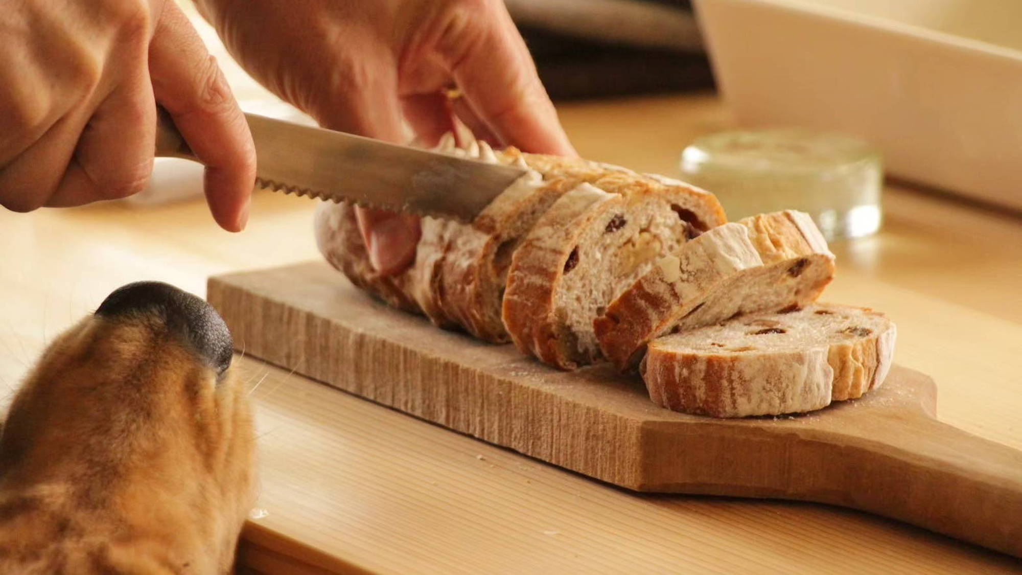 S_HUT：滞在イメージ