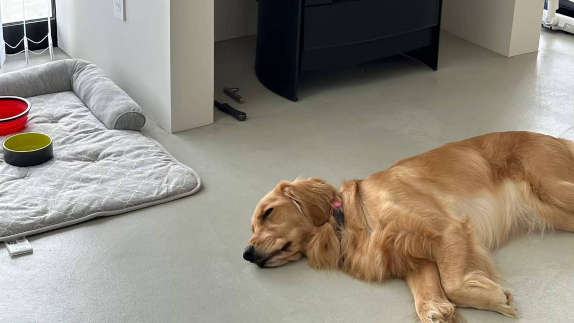 S_HUTのみ愛犬と一緒にご宿泊いただけます。