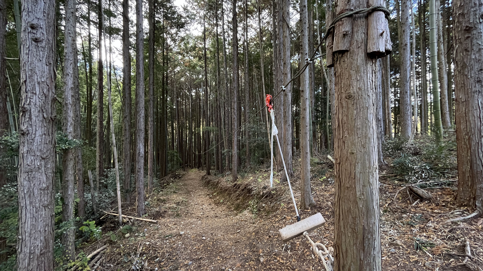 遊び◆ジップライン*