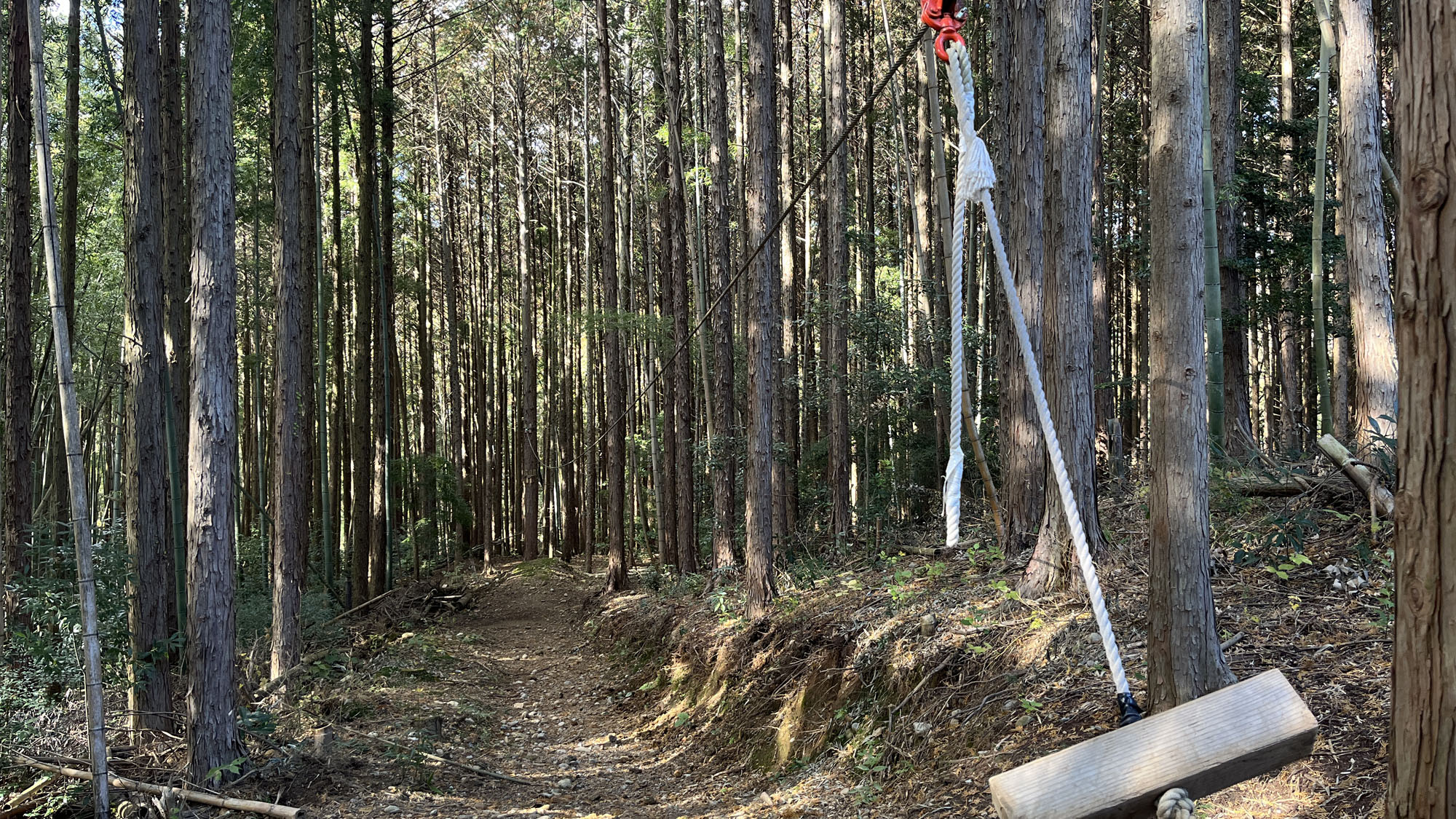 遊び◆お子様に大人気のジップライン！*