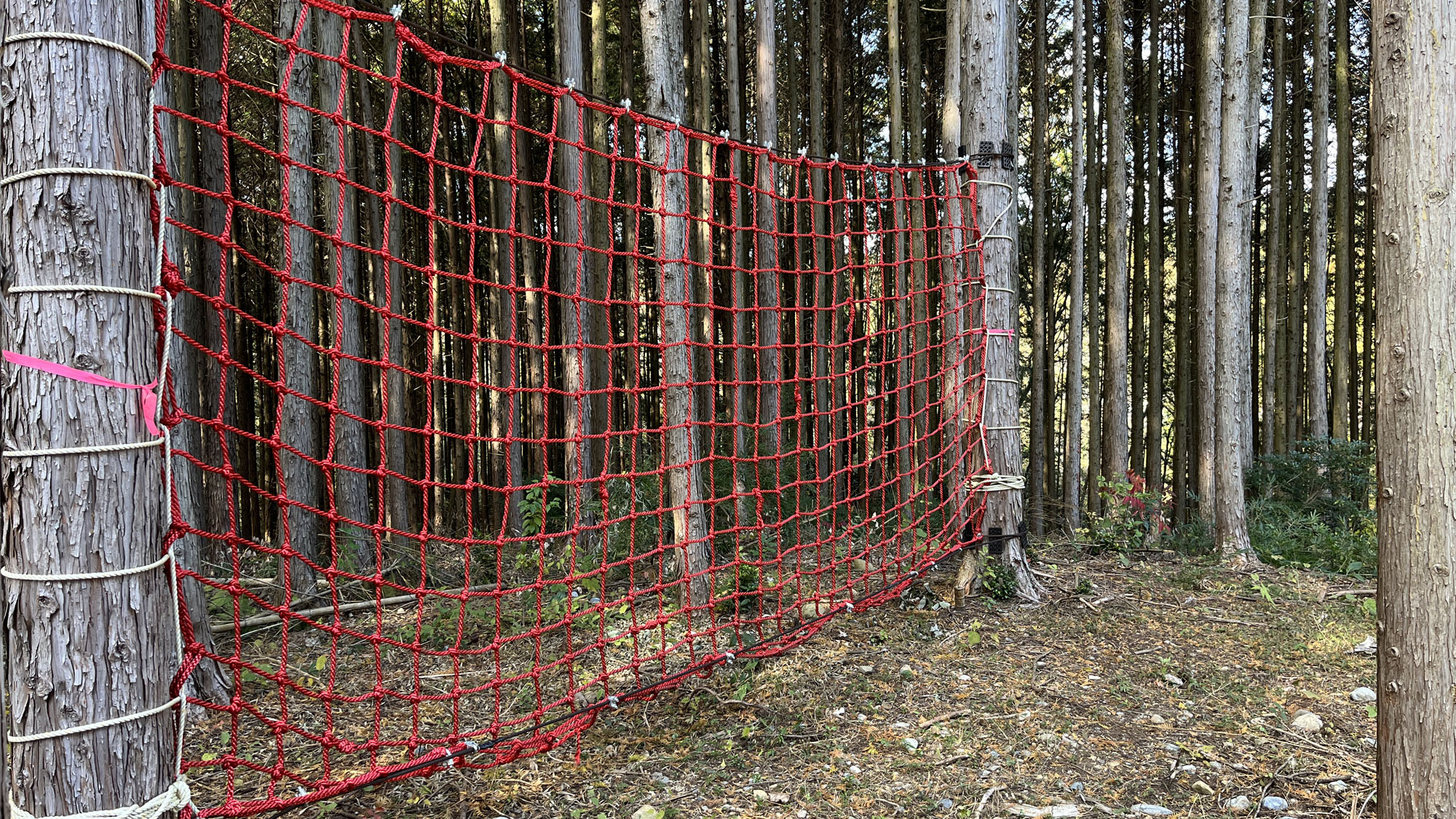 アスレチック◆里山あそび*