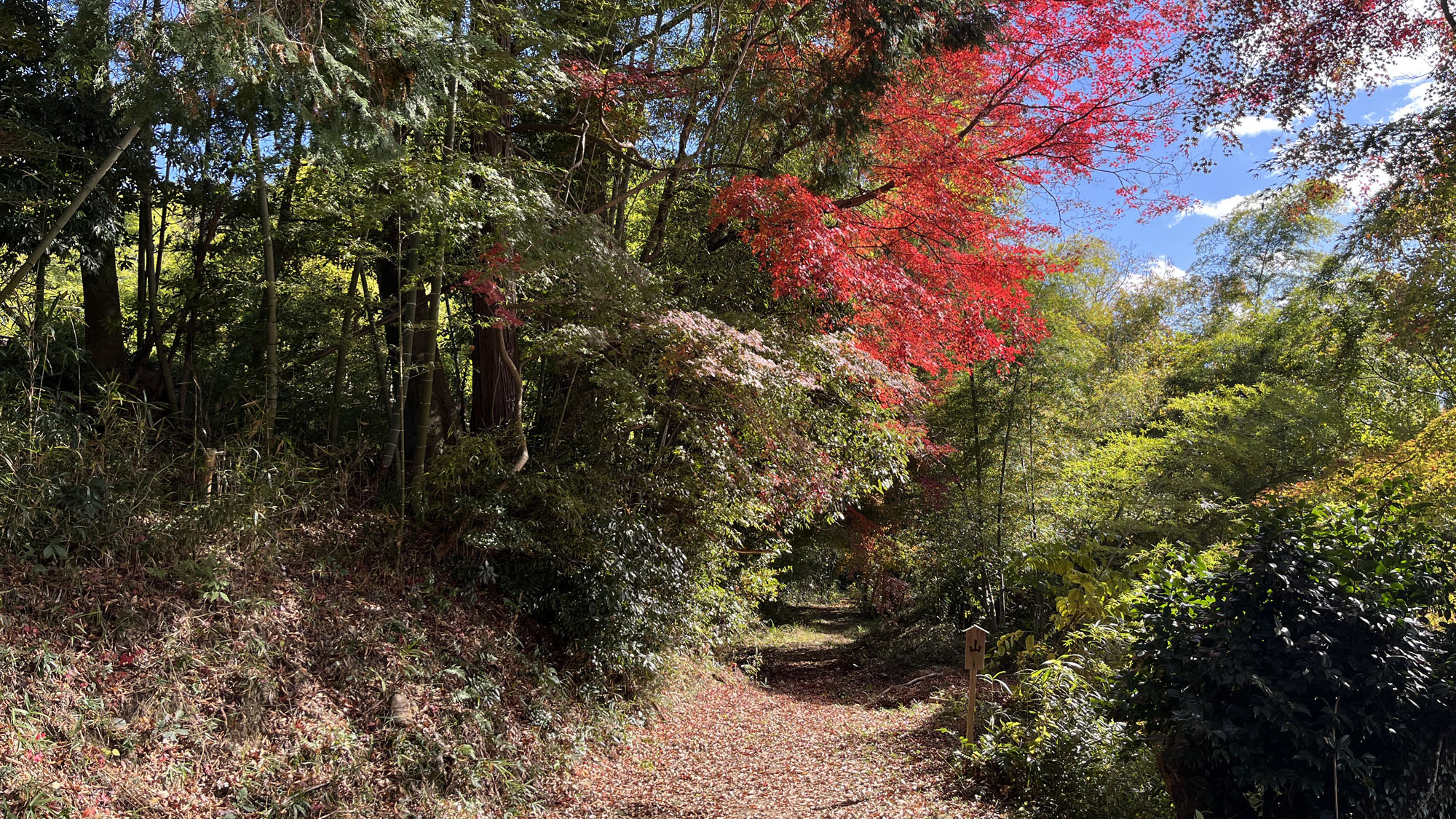 里山の景色◆お散歩コース*