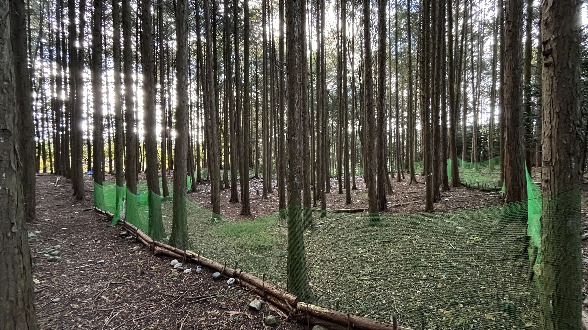 ドッグラン◆スペース*