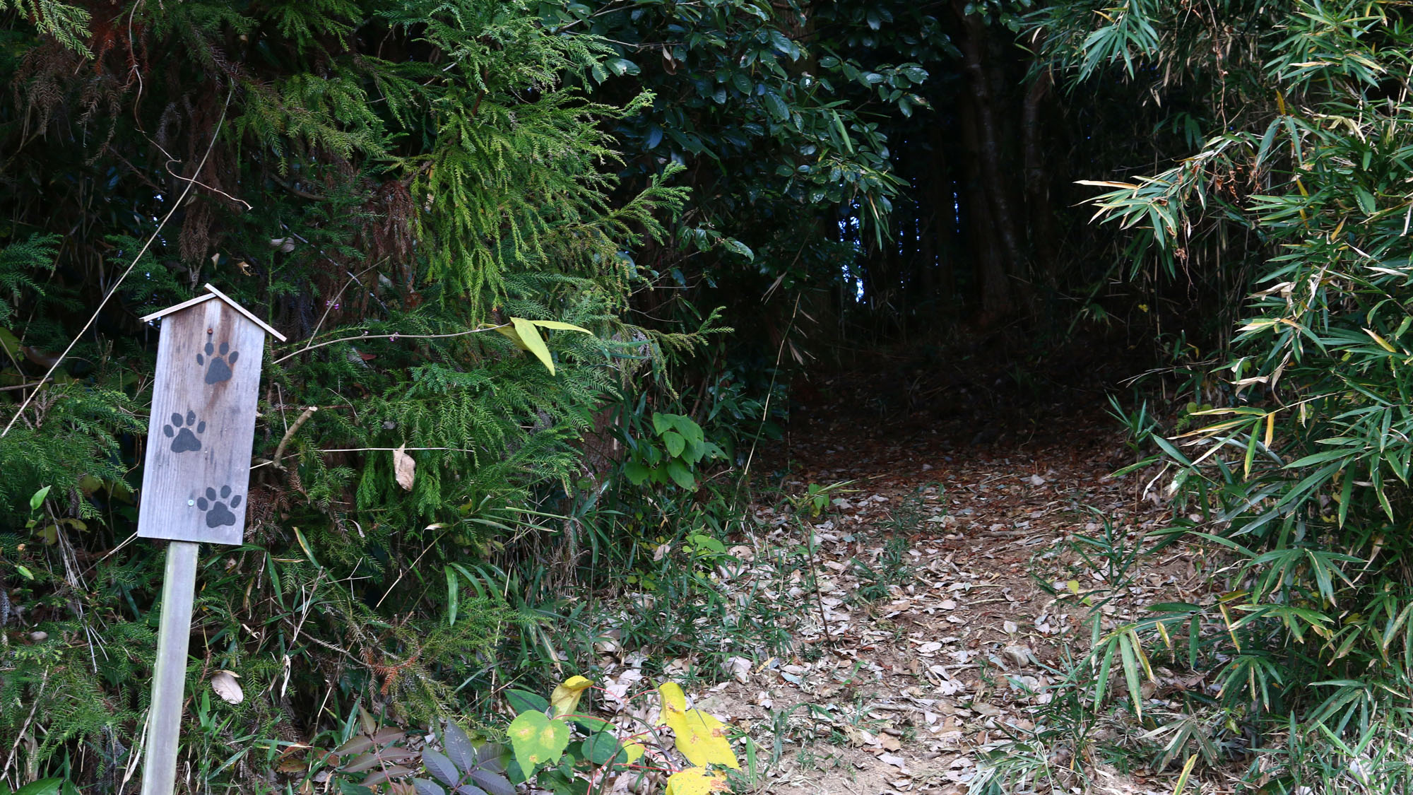 ドッグラン◆入口*