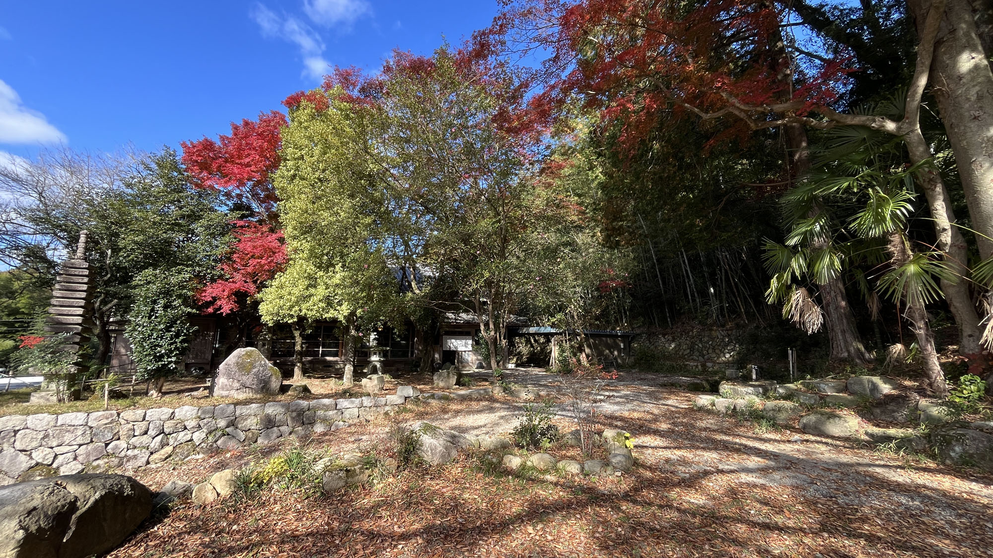 里山の景色◆森の中の母屋*
