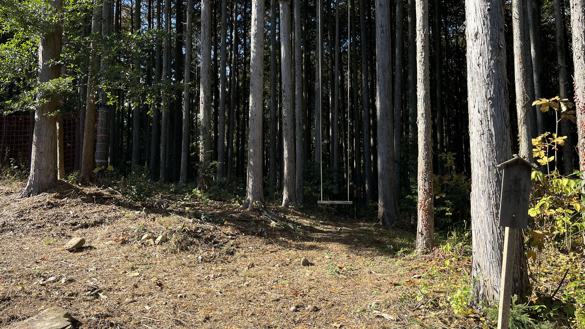 施設◆里山ブランコ*