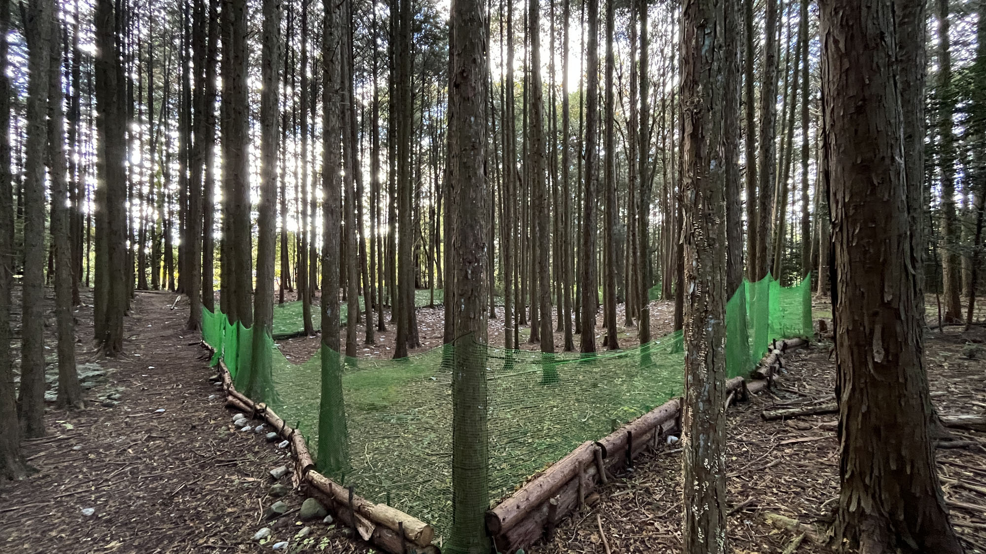 ドッグラン◆スペース*