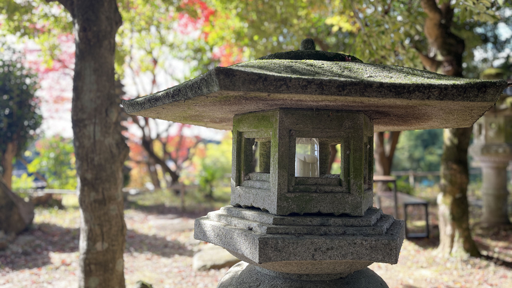 イメージ◆お庭*