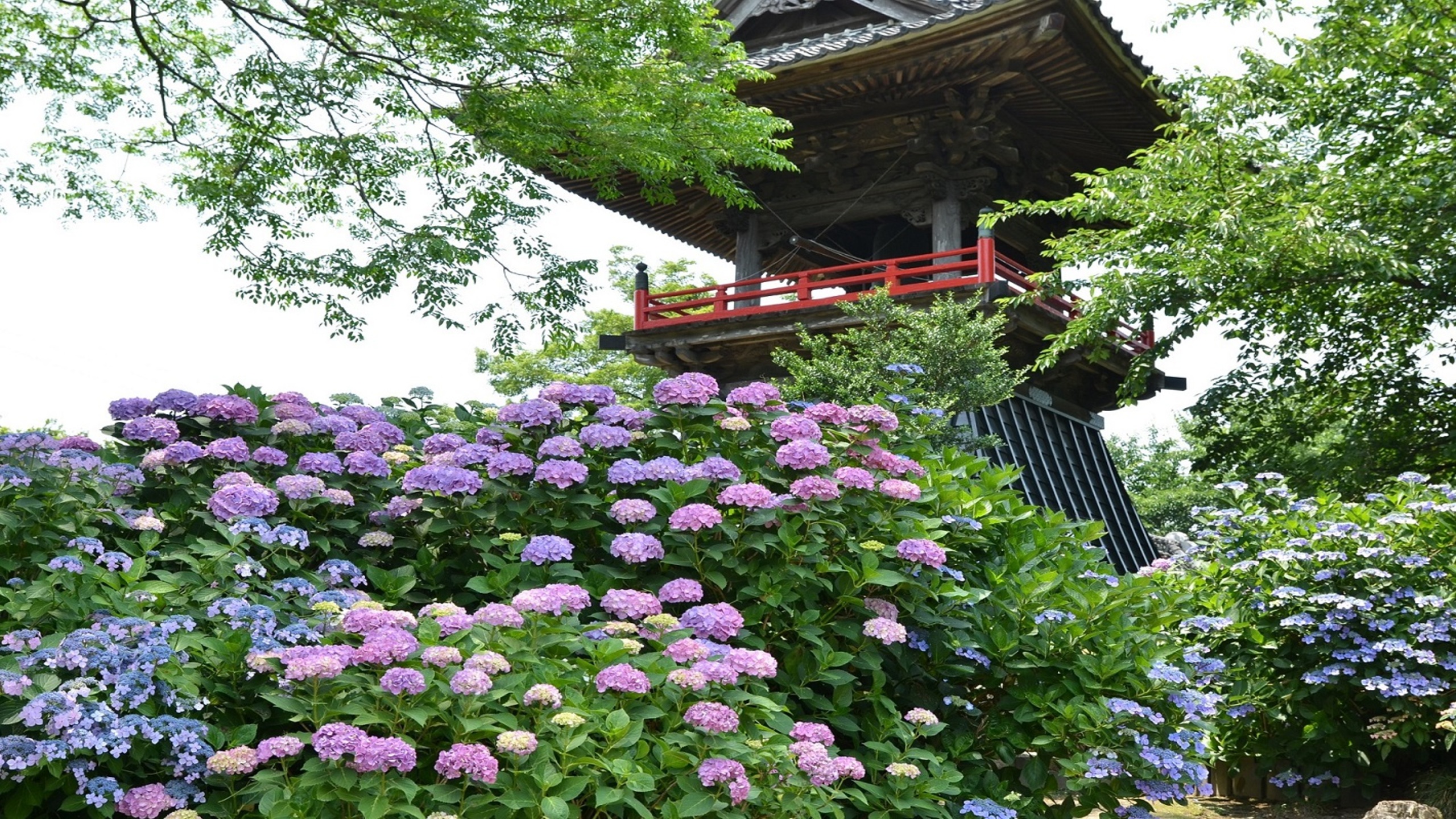 能護寺
