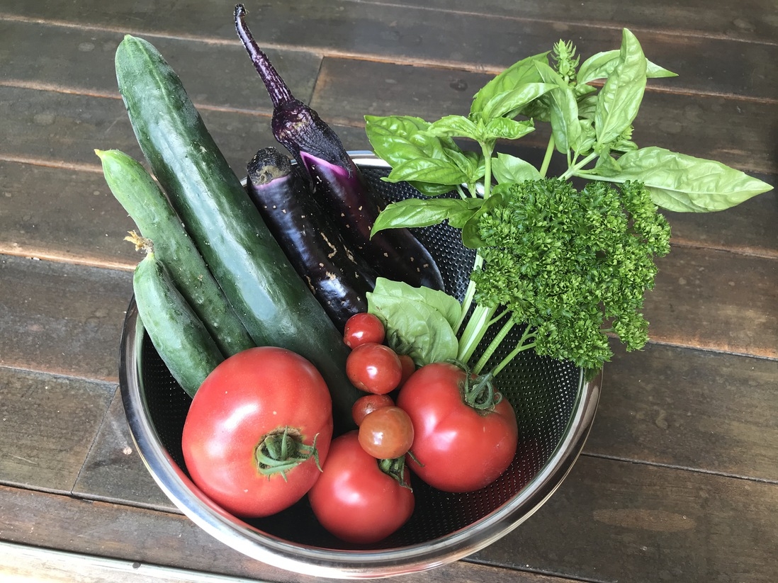 ◆ベジタリアン！新鮮野菜を堪能◆　【自家栽培玄米リゾットと採れたて野菜カポナータ料理（２食付）】