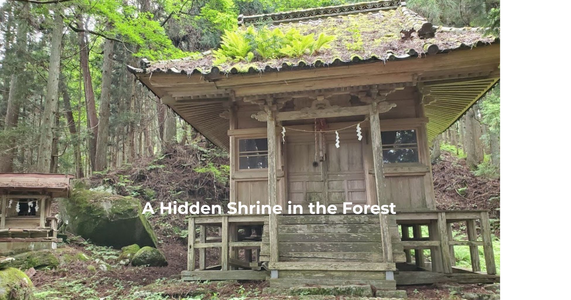 裏にある３００年の時を経た稲荷神社