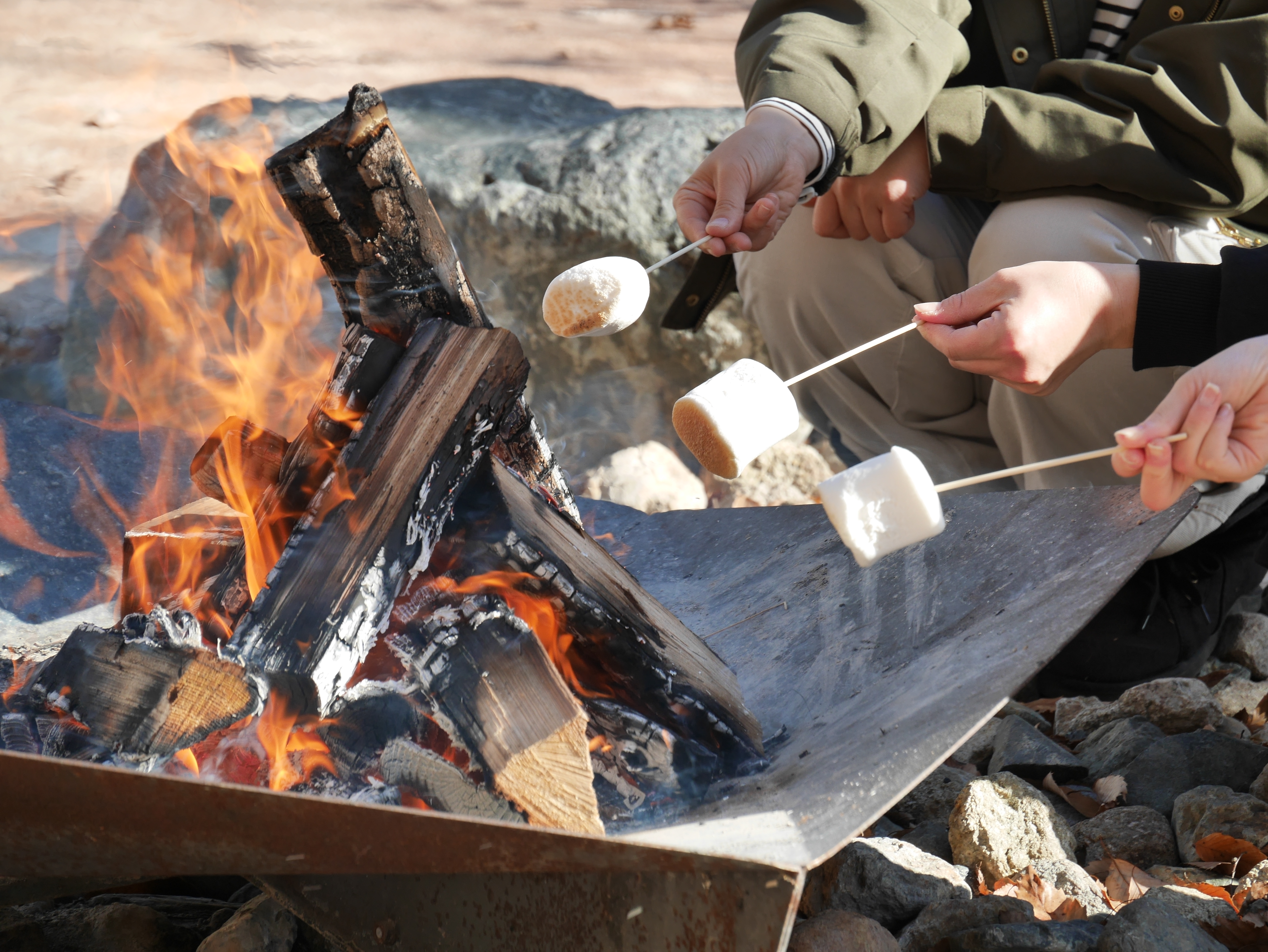 マシュマロ焼き体験