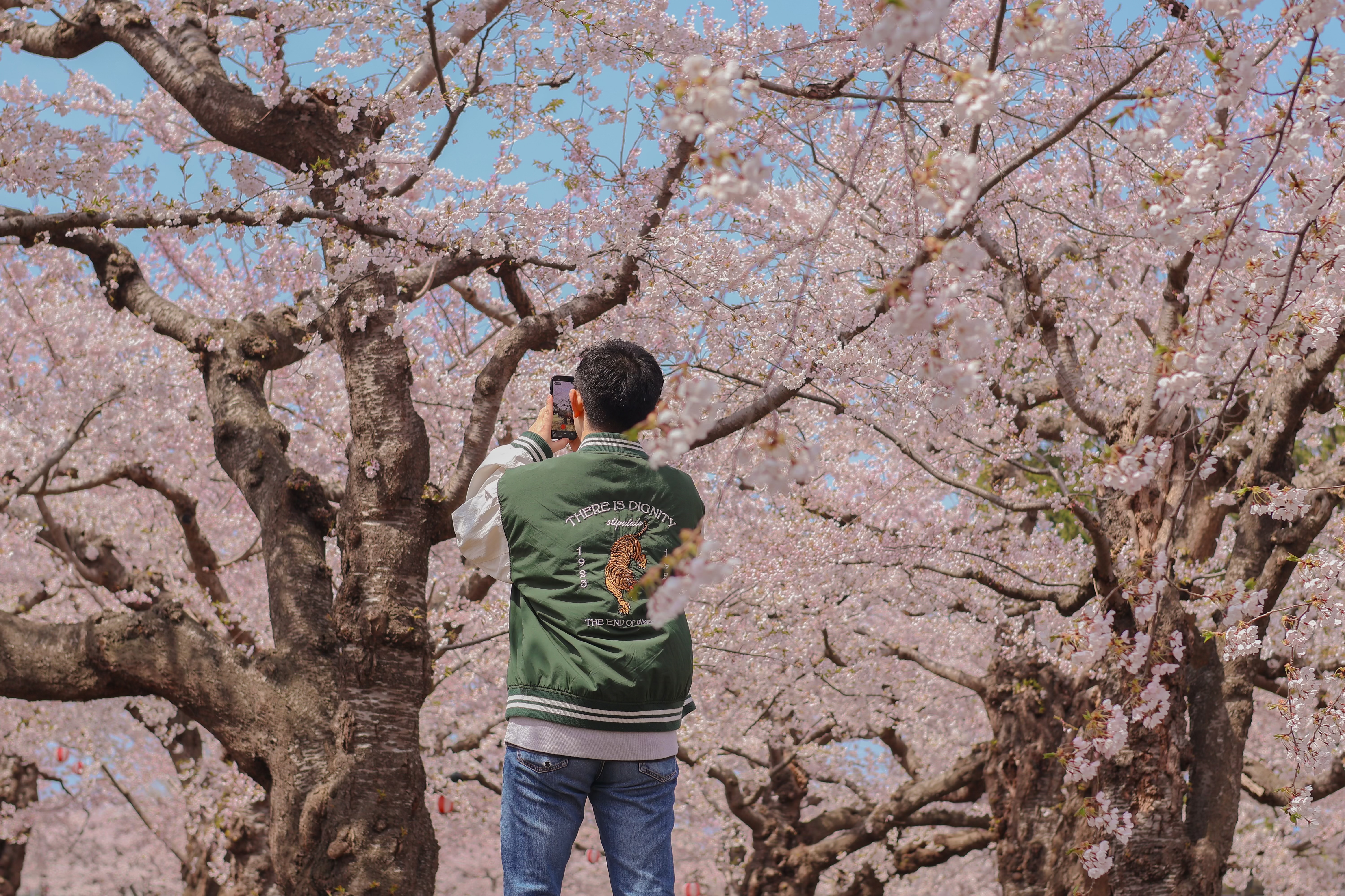 【五稜郭公園】