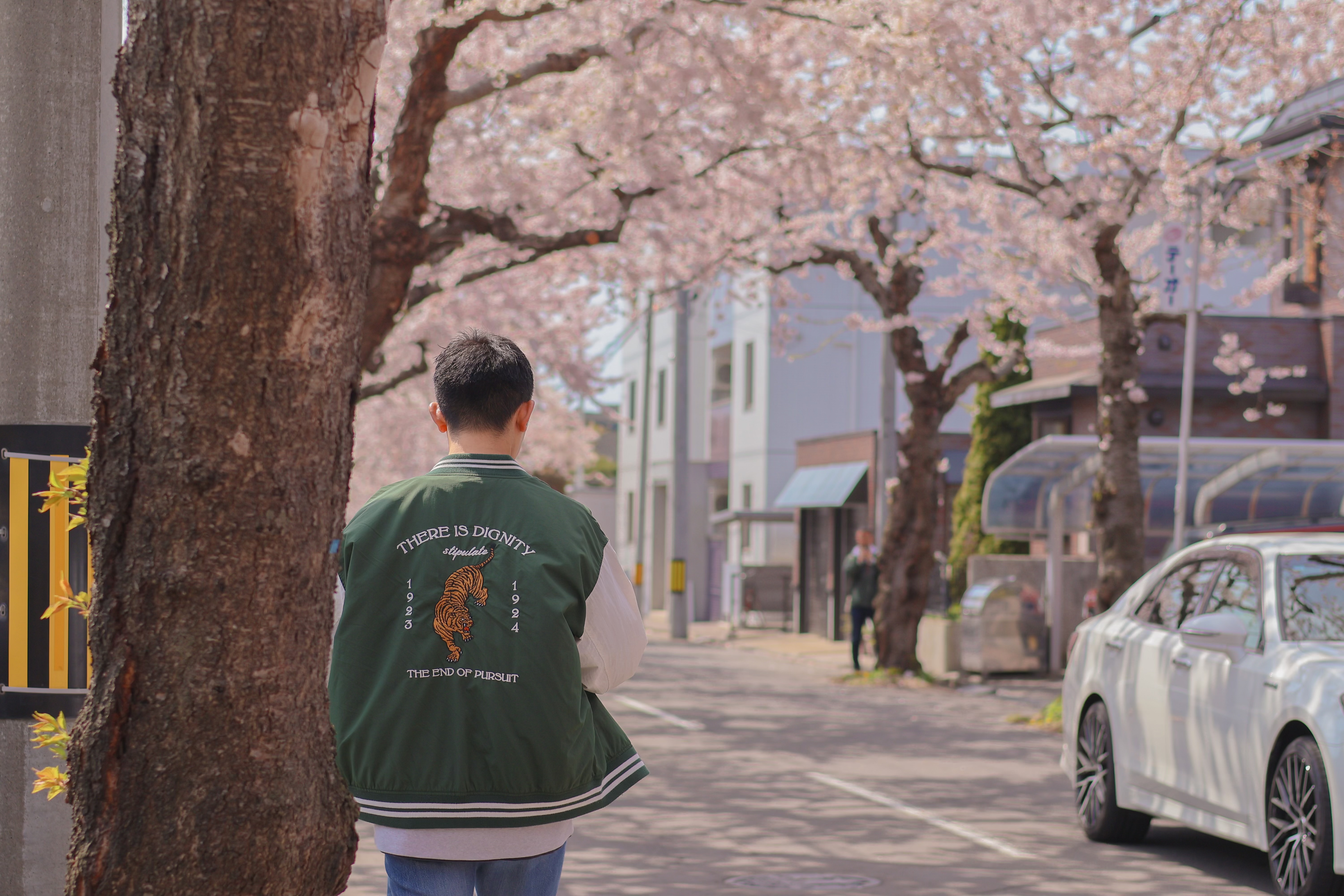 【桜が丘通】