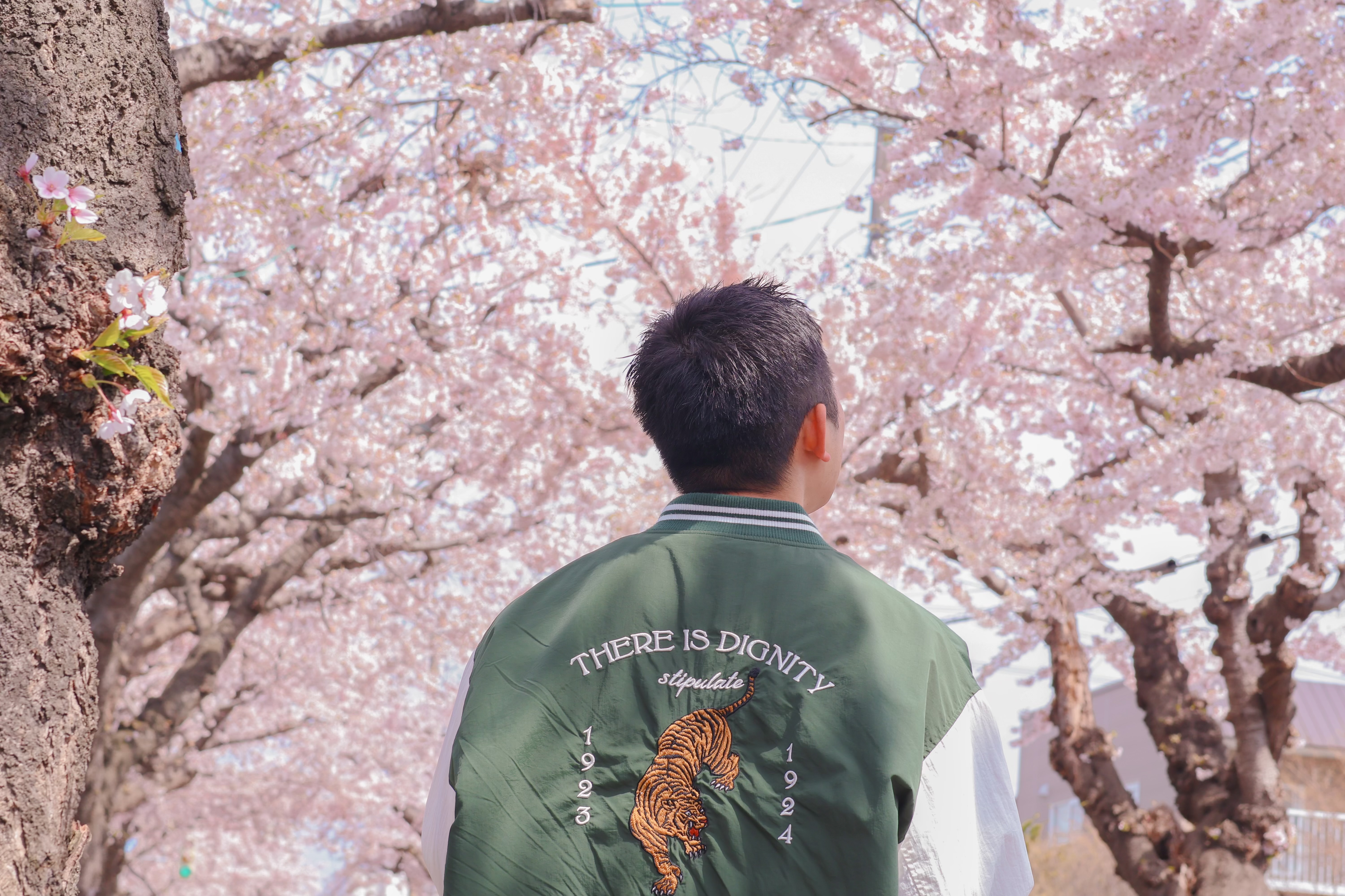 【桜が丘通】