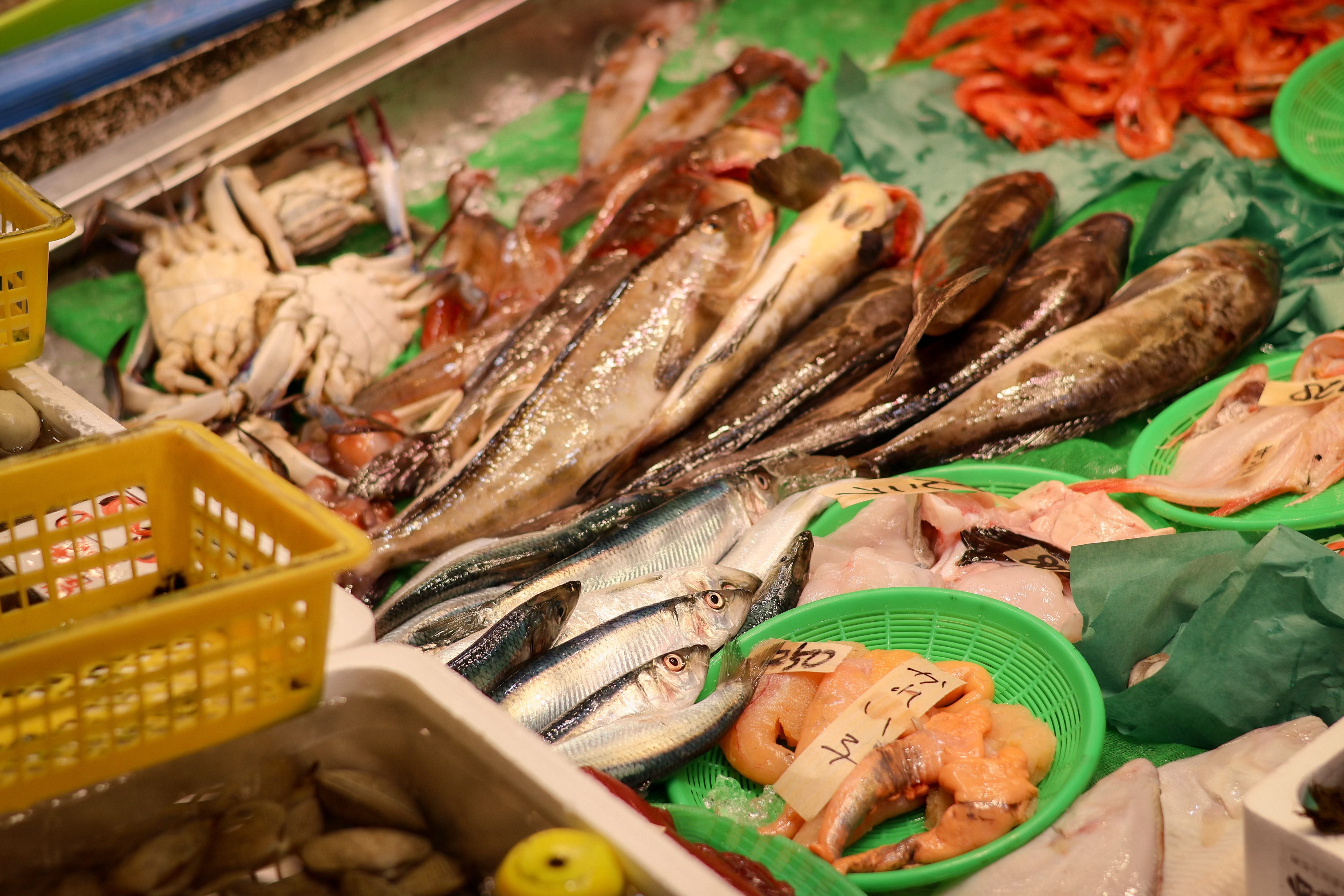 【中島廉売（紺地鮮魚）】