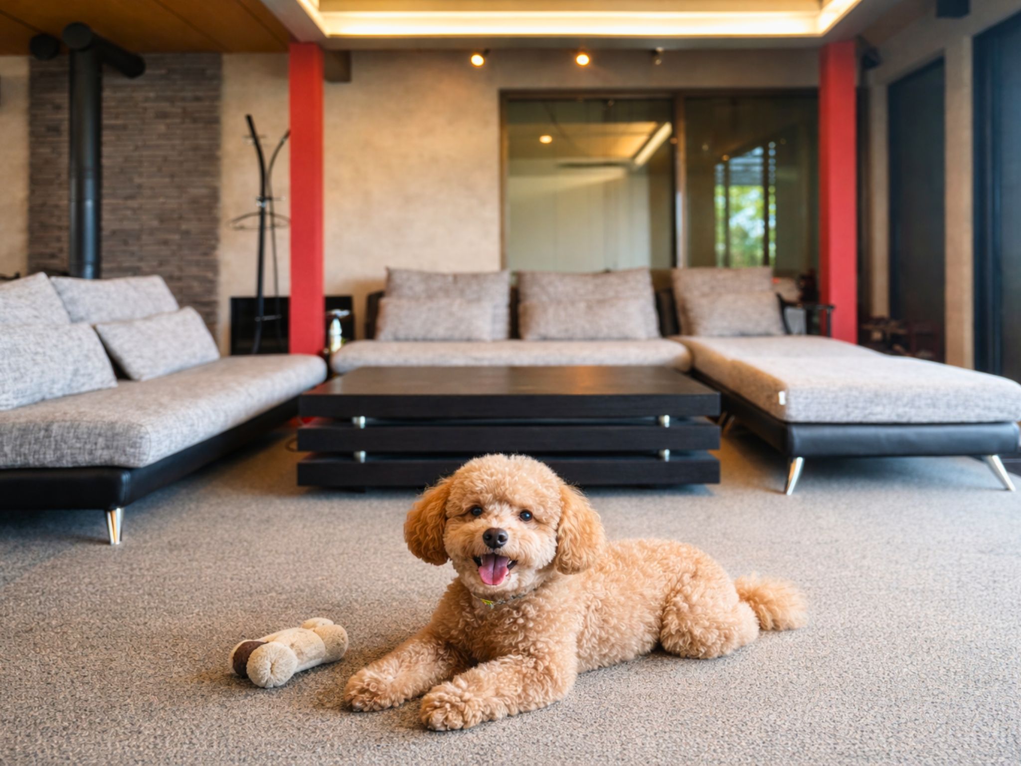 ペット可（小型犬のみ10kgまで）別料金