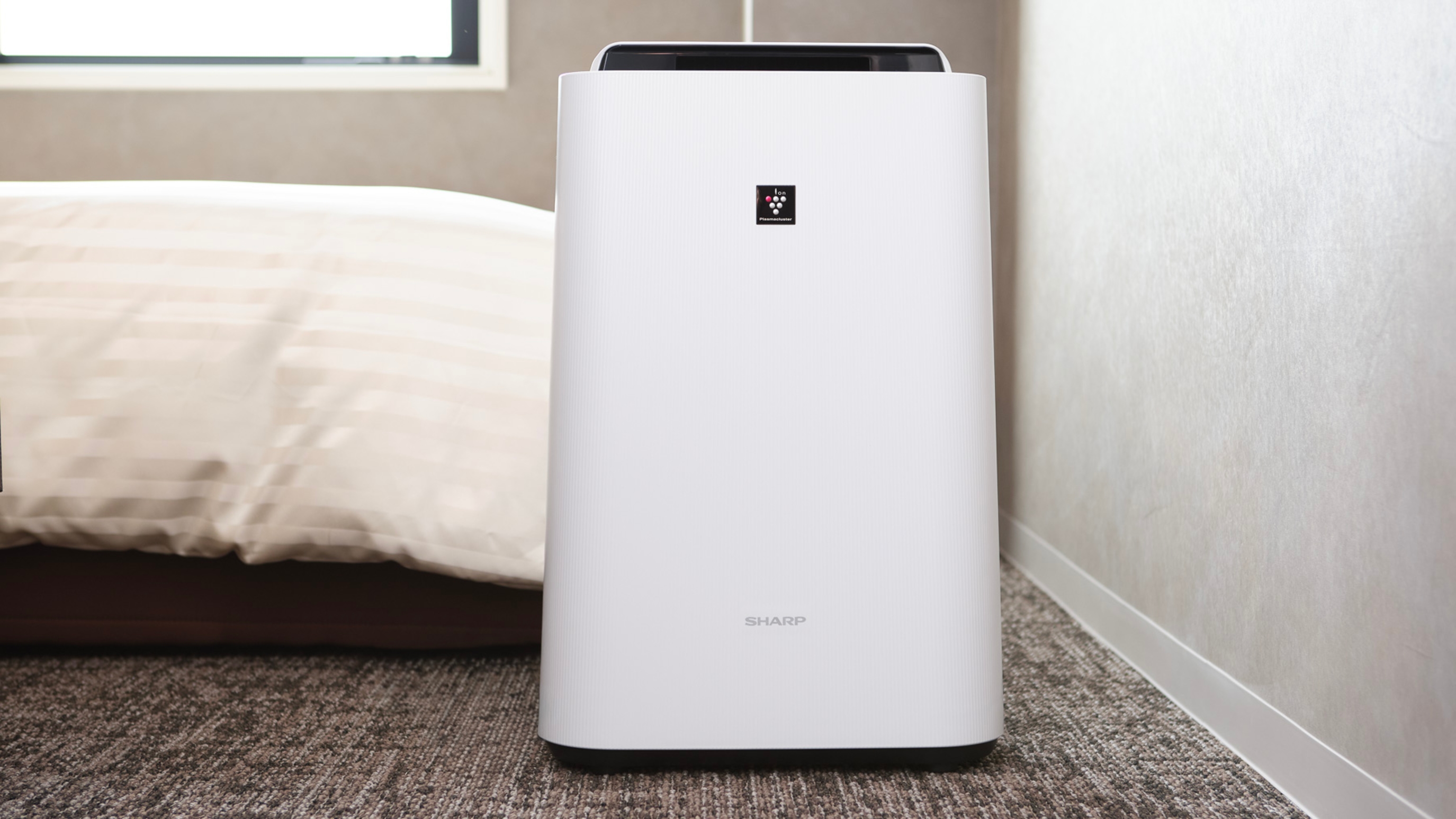 空気に潤いとマイナスイオンを♪