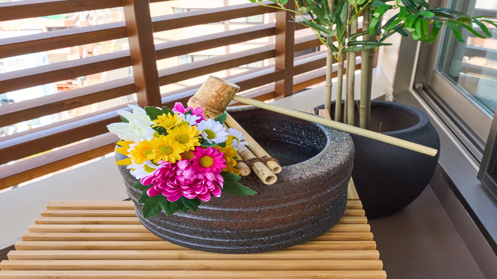 1ベッドルームアパートメント