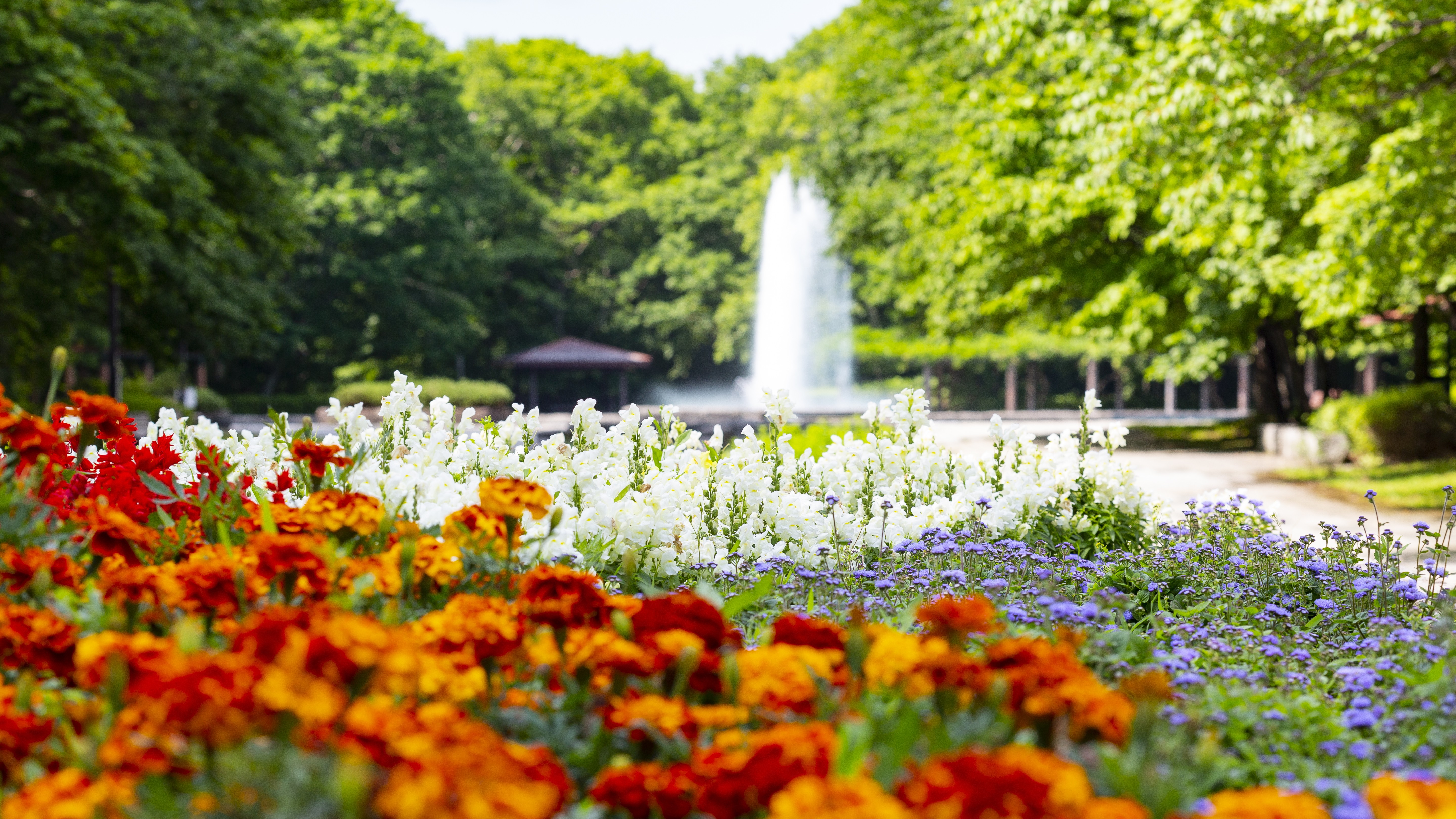 ◇青葉公園　