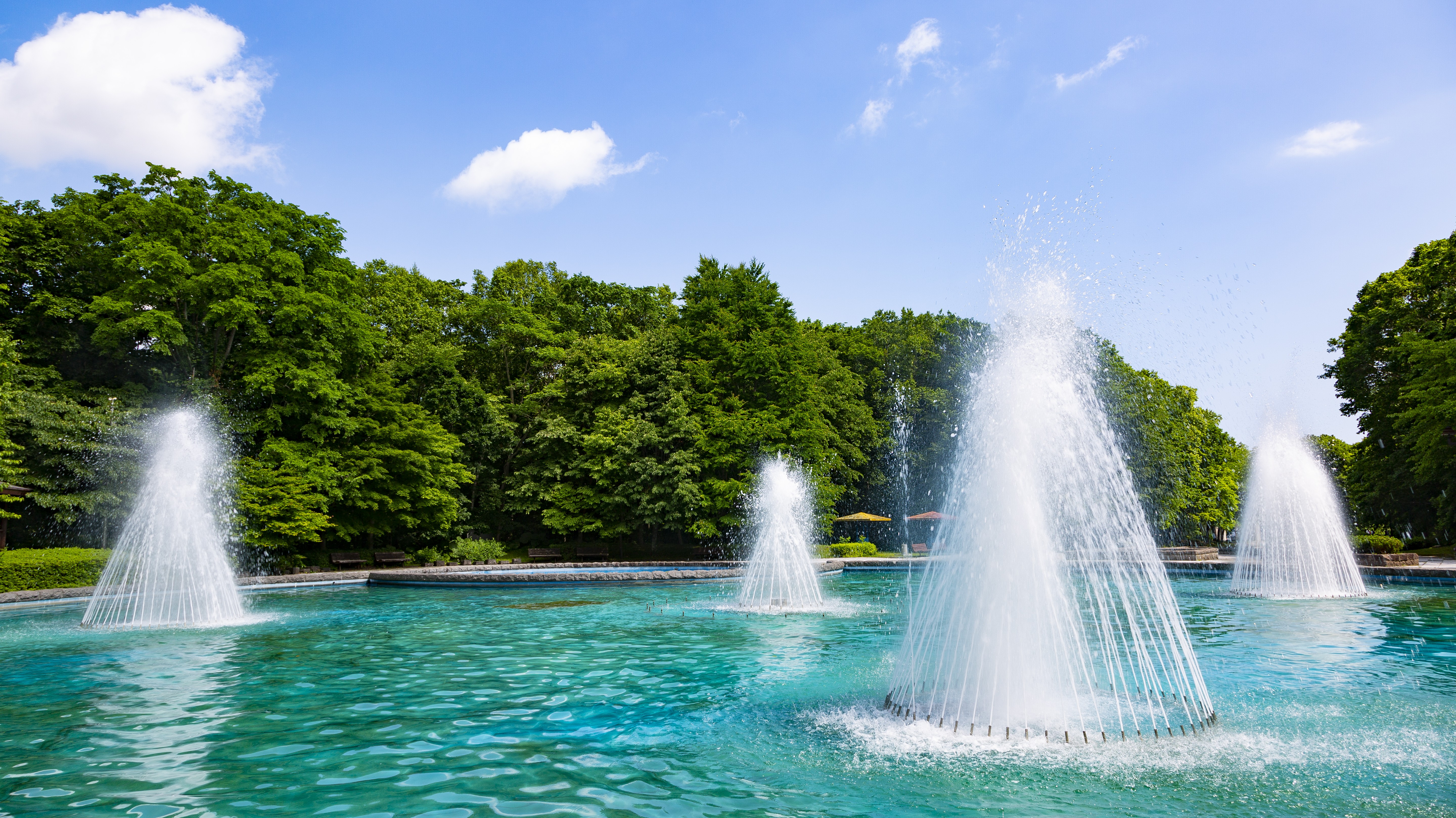 ◇青葉公園　※四季折々の豊かな自然が堪能できる公園。春は桜、つつじ、夏は緑、秋は紅葉が楽しめます。