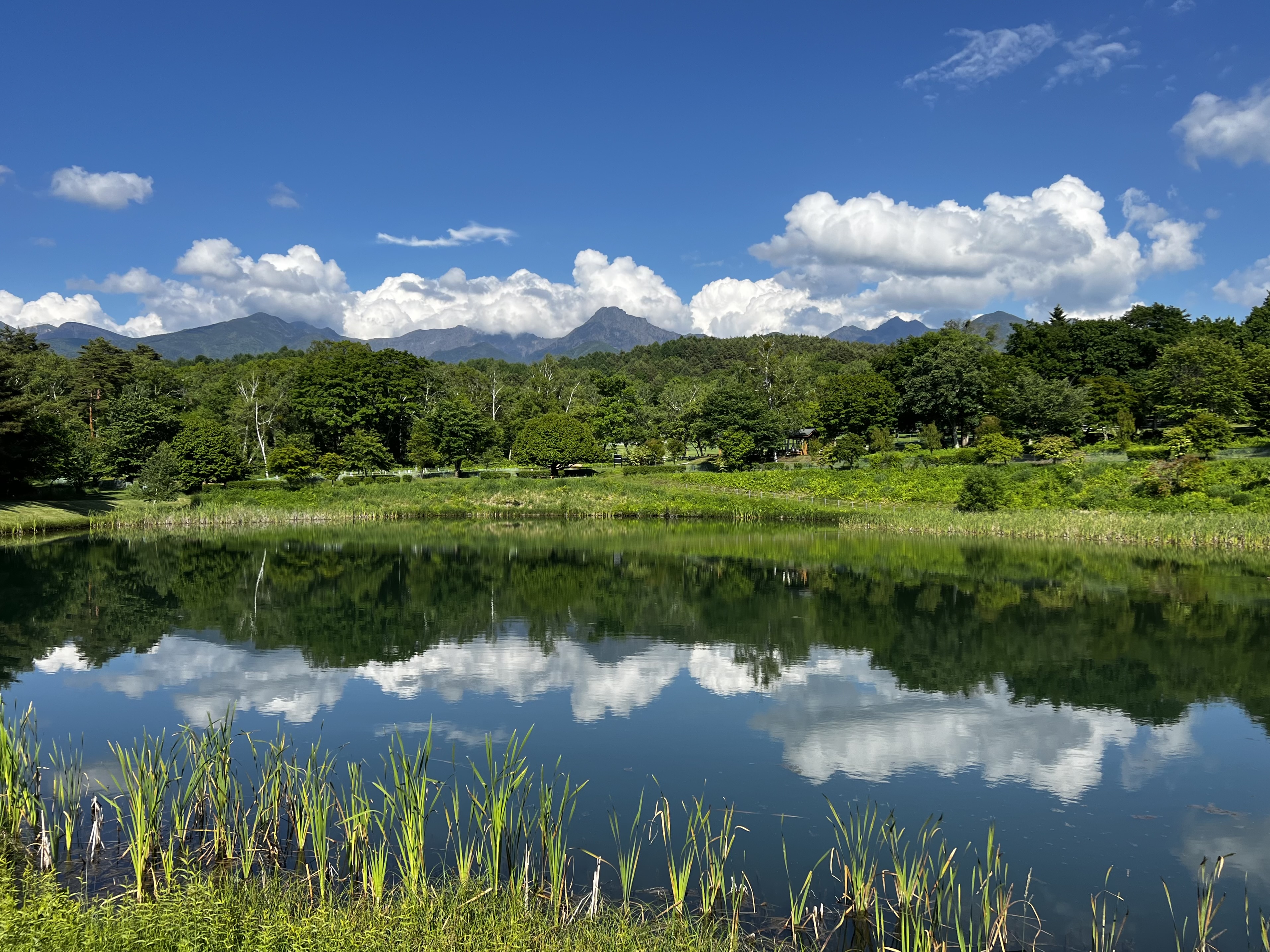 まるやち湖