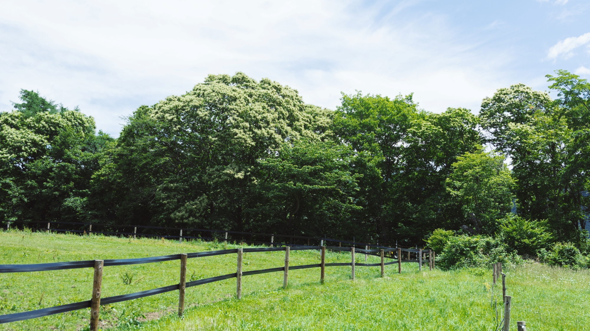 *牧場／広大な草原に広がる牧場で、のどかなひとときをお過ごしください。