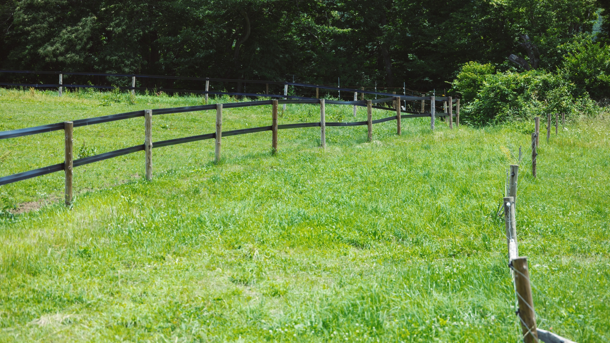*牧場／広大な草原に広がる牧場で、のどかなひとときをお過ごしください。
