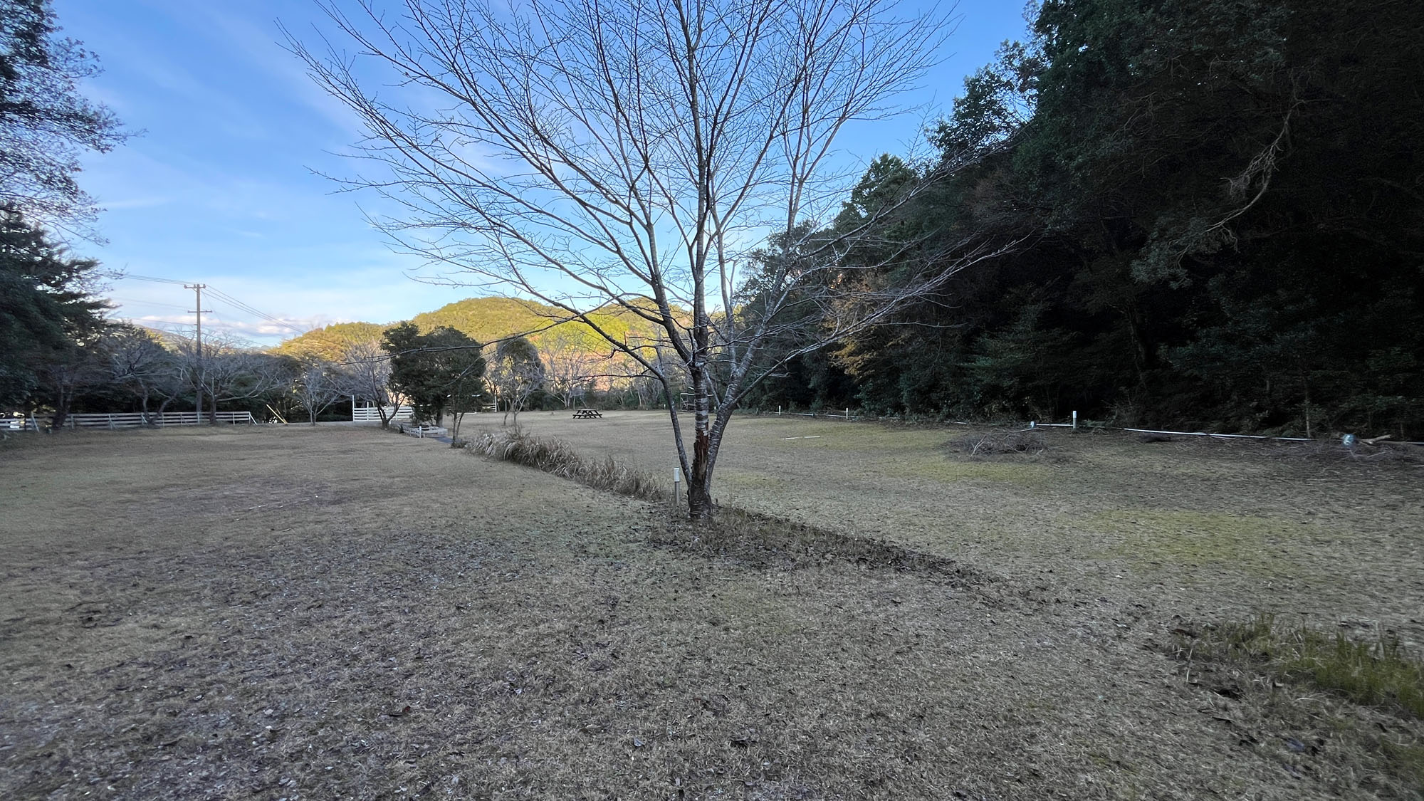 自然に囲まれた開放的なキャンプ場。ゆったり過ごせる広々サイト*