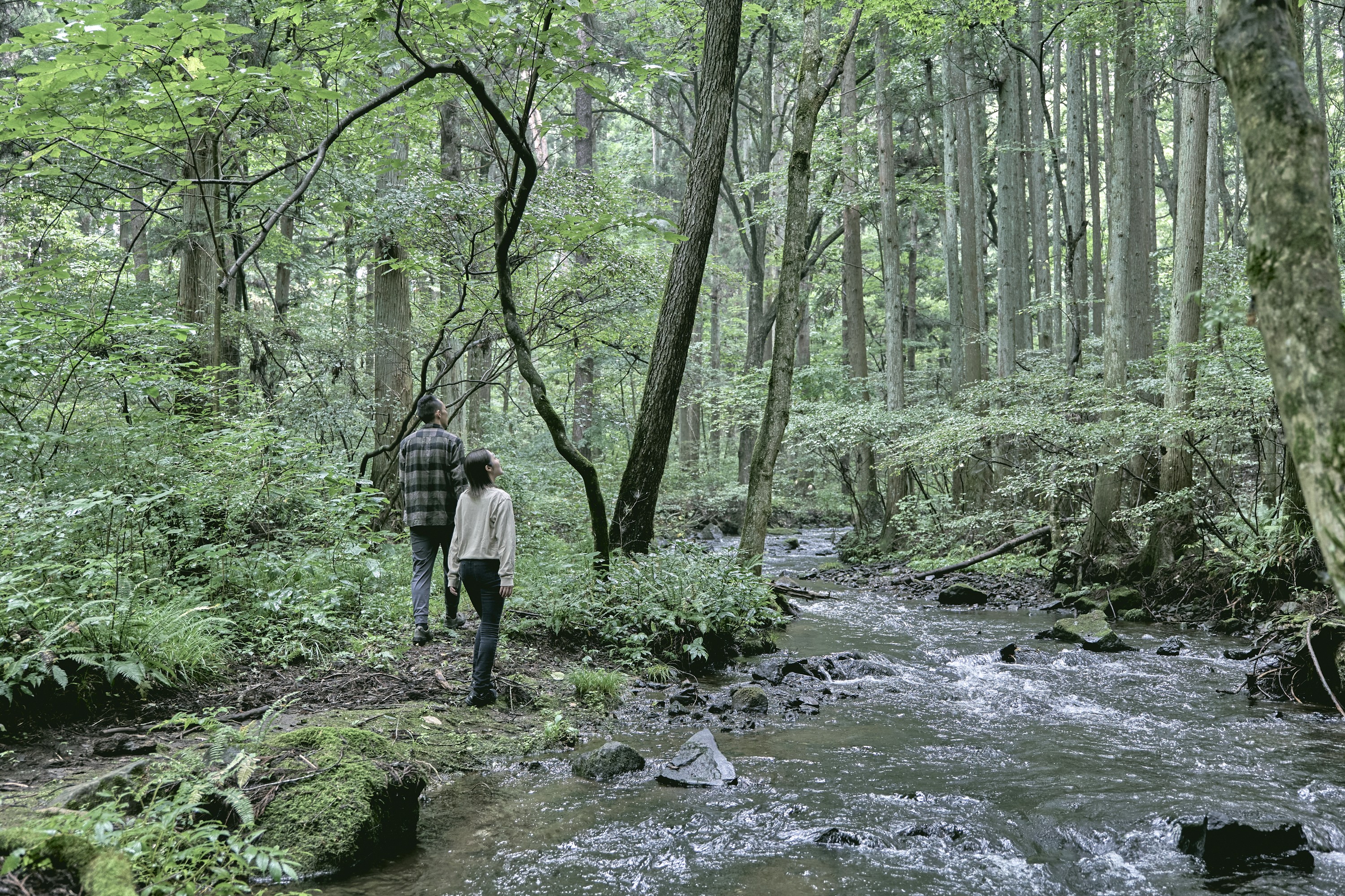 アクティビティネイチャーウォーキング