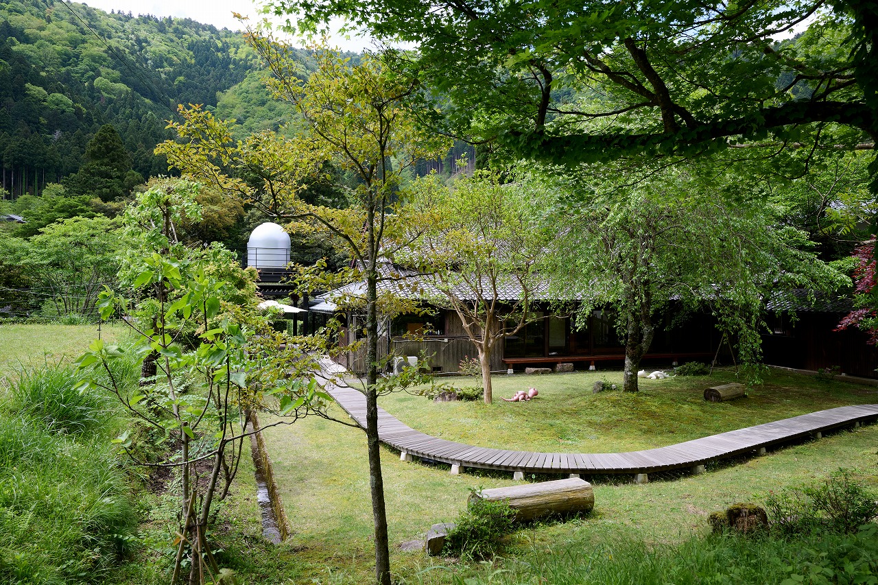 ミヤマテラス本館　北側庭