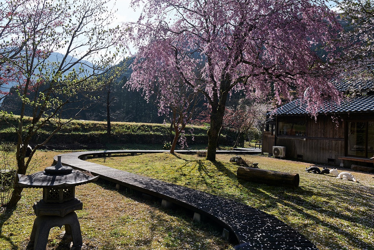 ミヤマテラス本館　北側庭